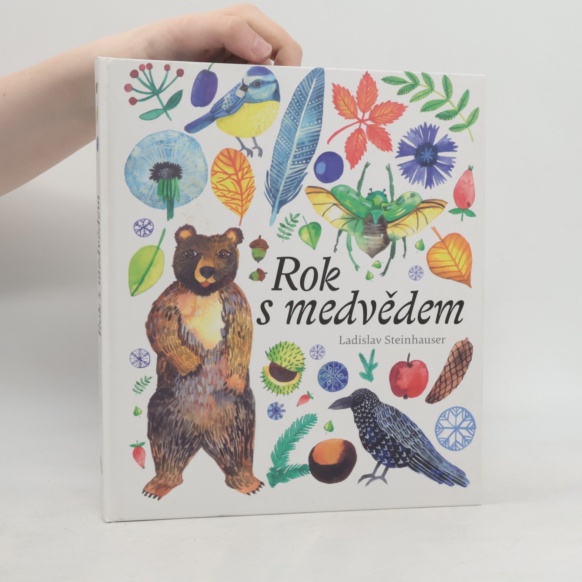 Ladislav Steinhauser Rok s medvědem