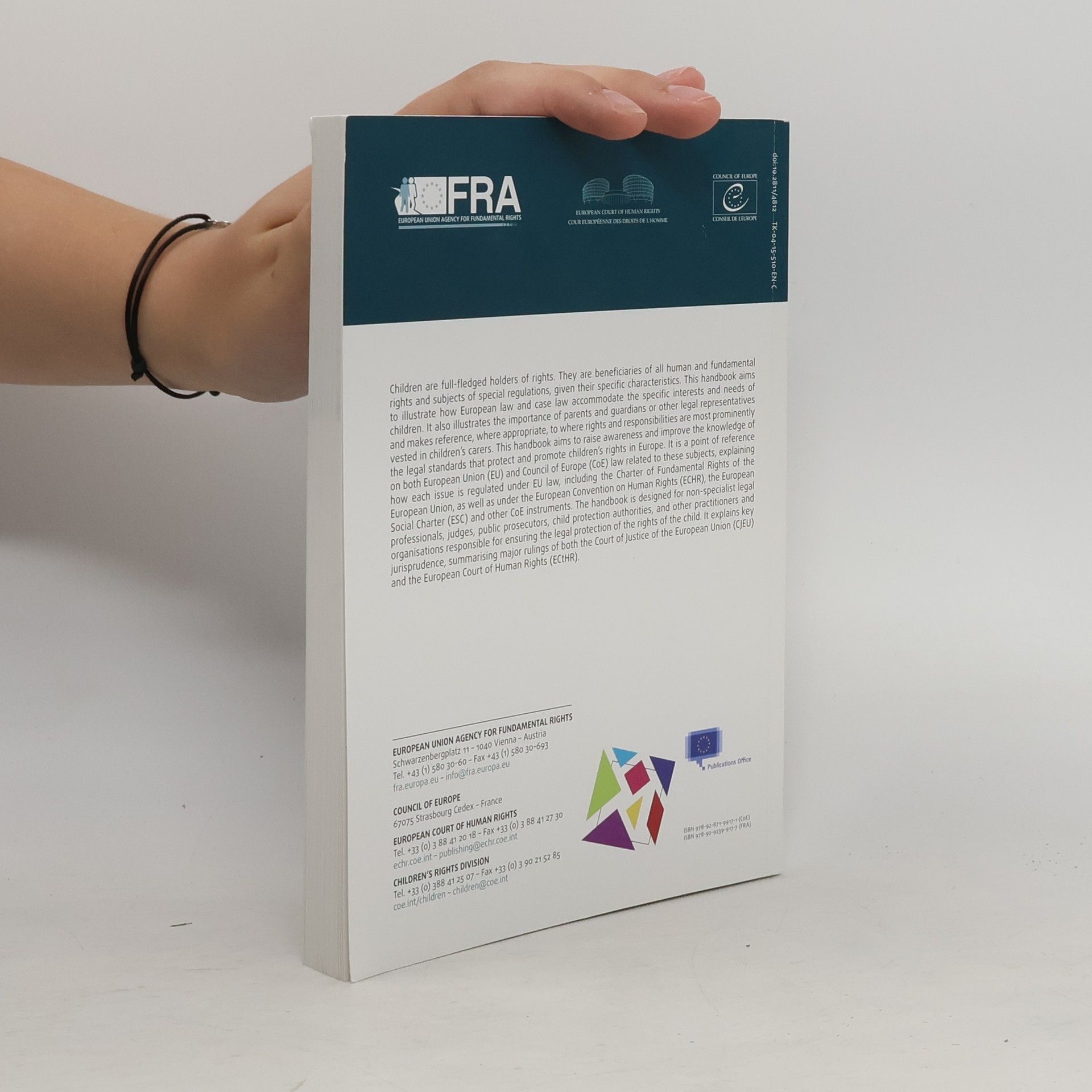 Kolektiv autorů Handbook on European law relating to the rights of the child