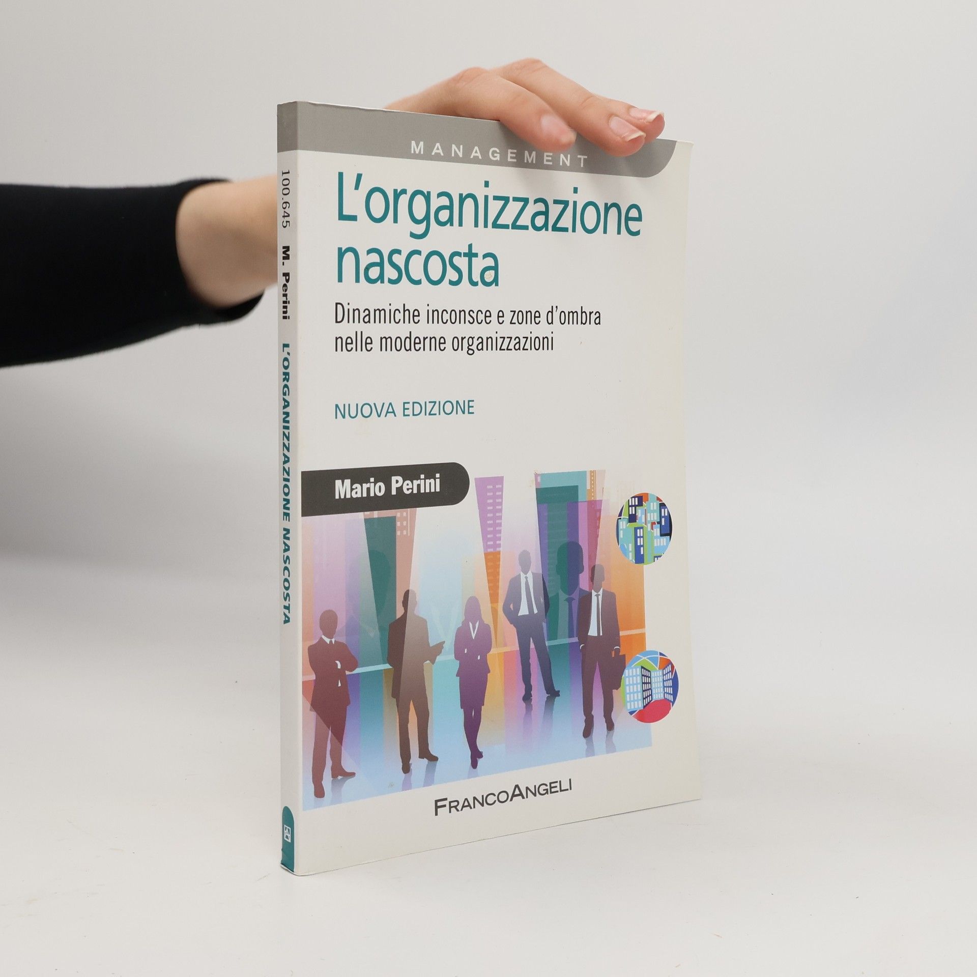 Mario Perini L'organizzazione nascosta. Dinamiche inconsce e zone d'ombra nelle moderne organizzazioni - Nuova edizione