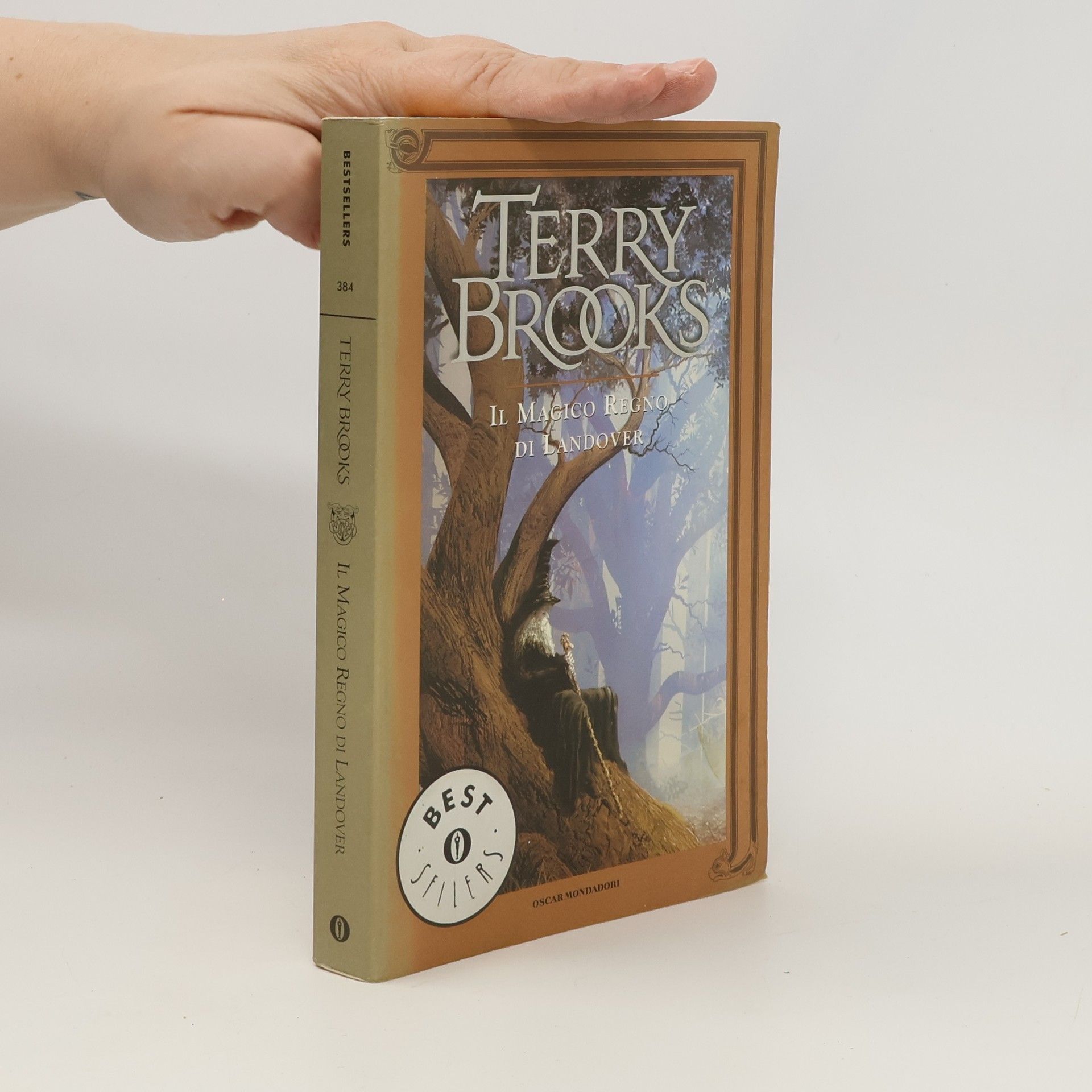 Terry Brooks Ciclo di Landover - 1: Il magico regno di Landover