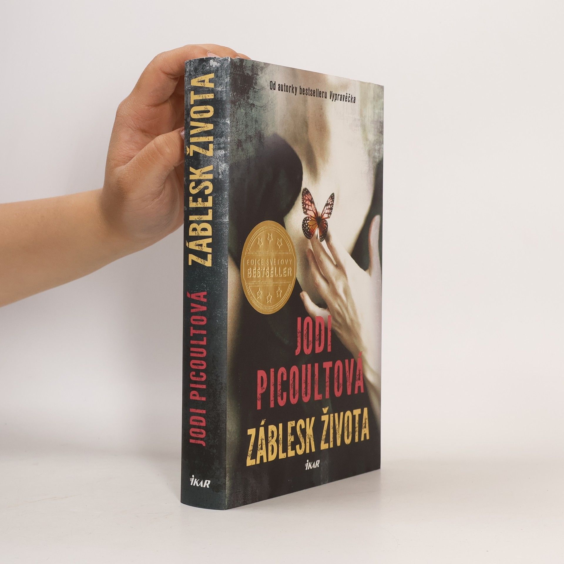 Jodi Picoult Záblesk života