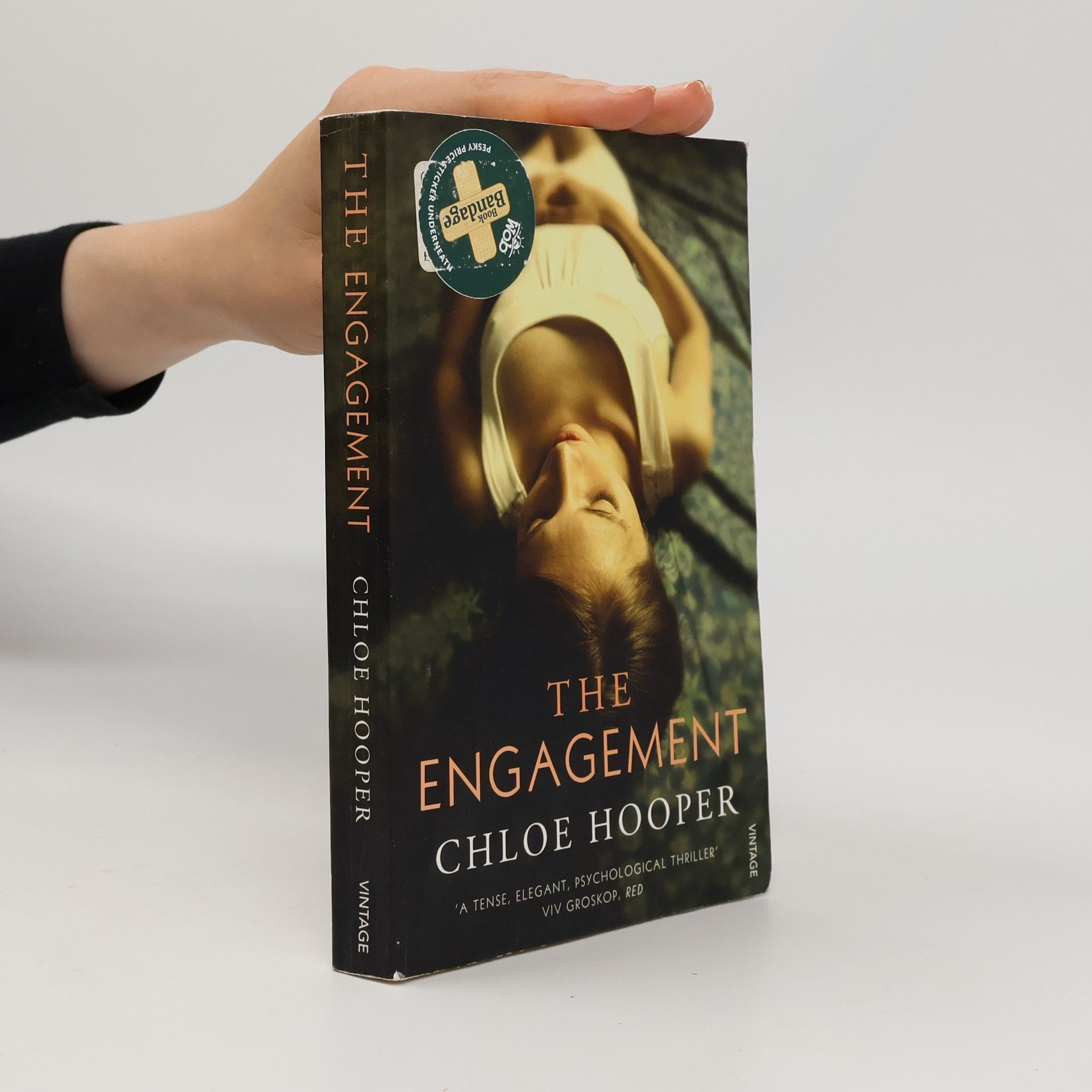 Chloe Hooper The Engagement