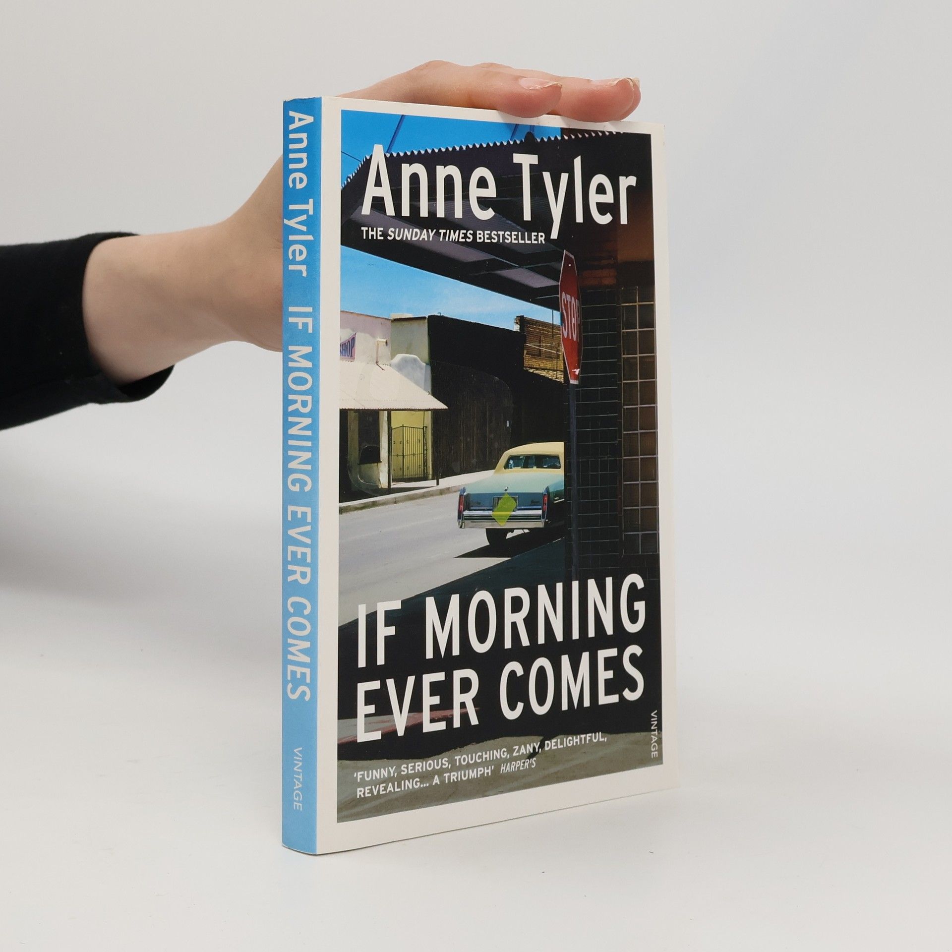 Anne Tyler If Morning Ever Comes