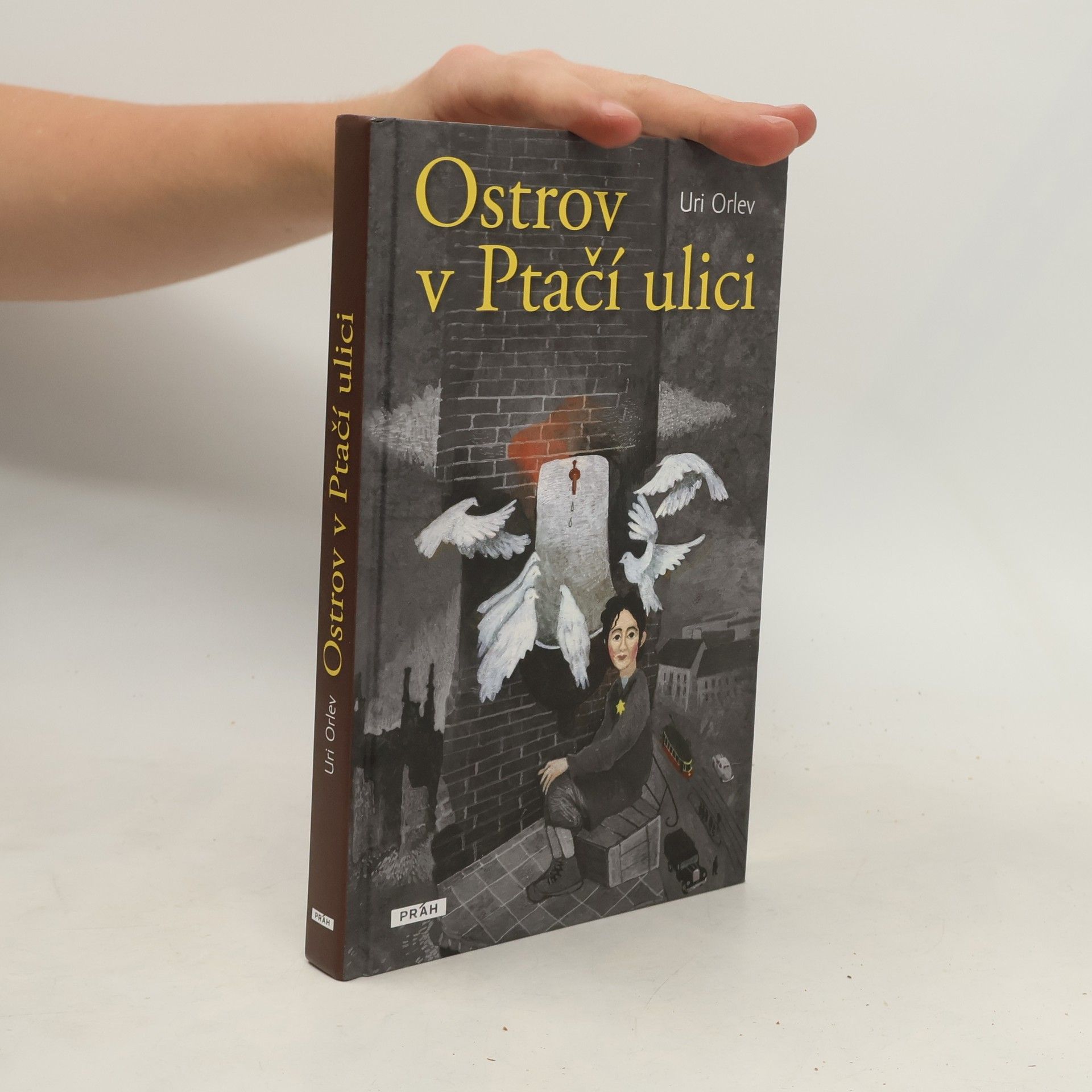 Uri Orlev Ostrov v Ptačí ulici