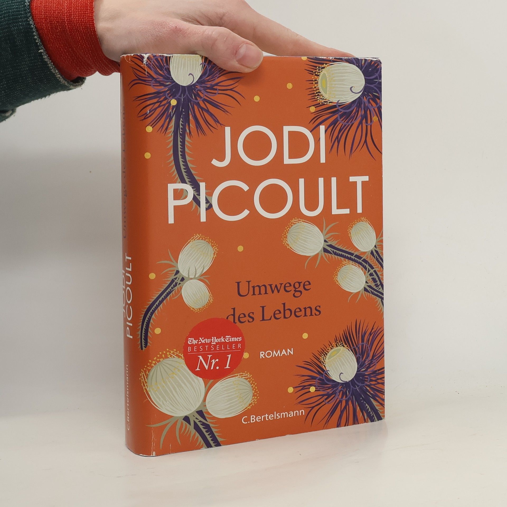 Jodi Picoult Umwege des Lebens