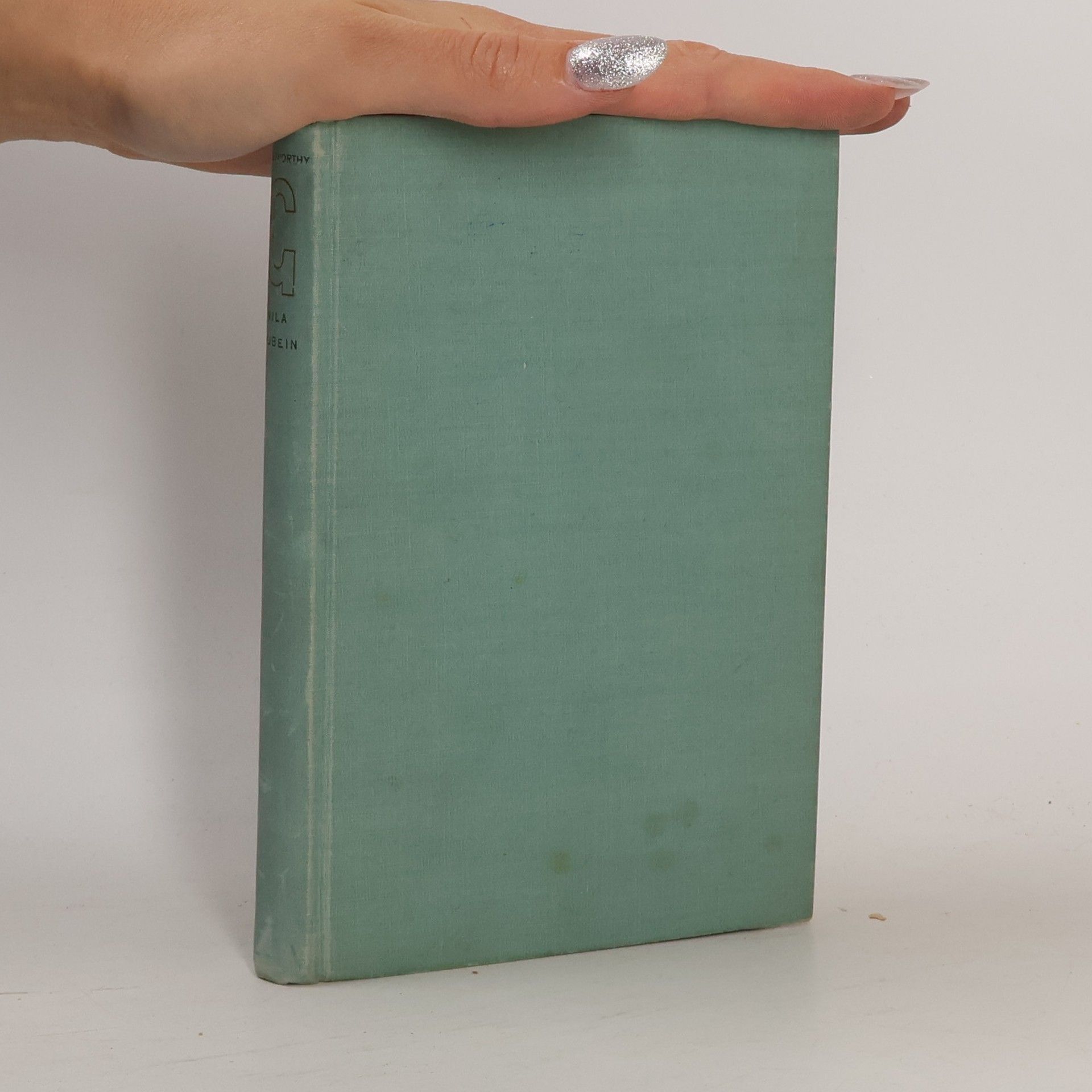 John Galsworthy Vila Rubein
