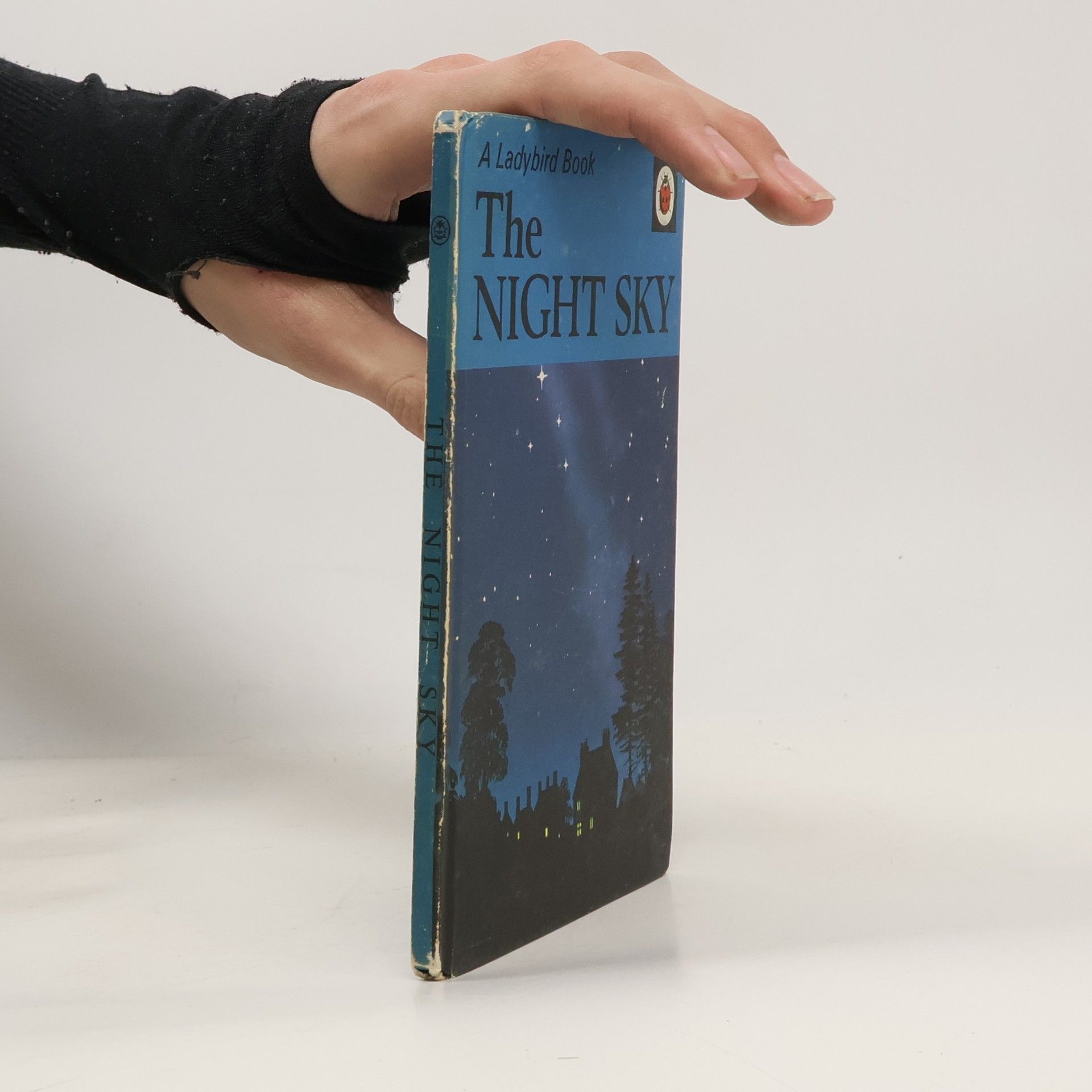 Mary T. Brück The Night Sky
