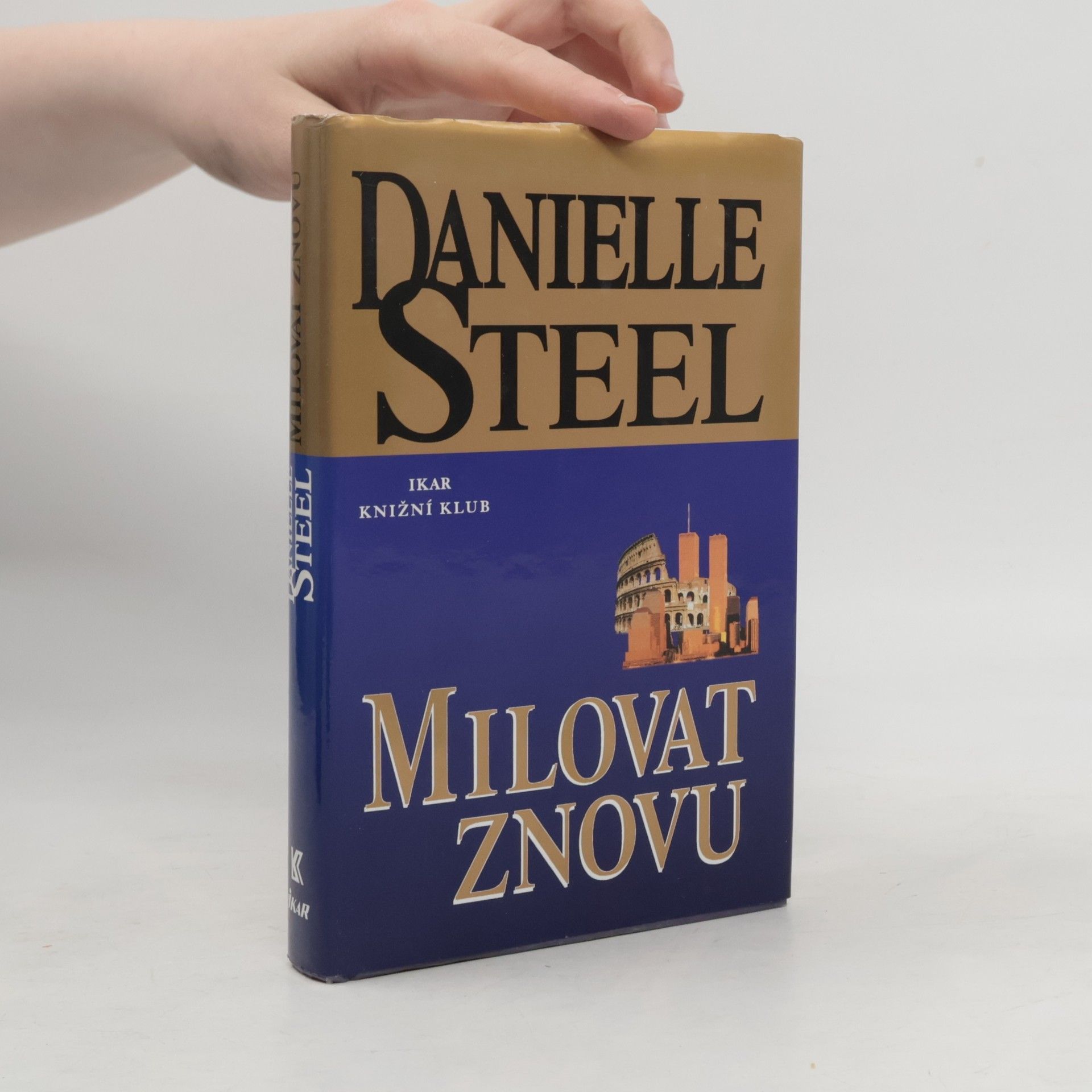 Danielle Steel Milovat znovu