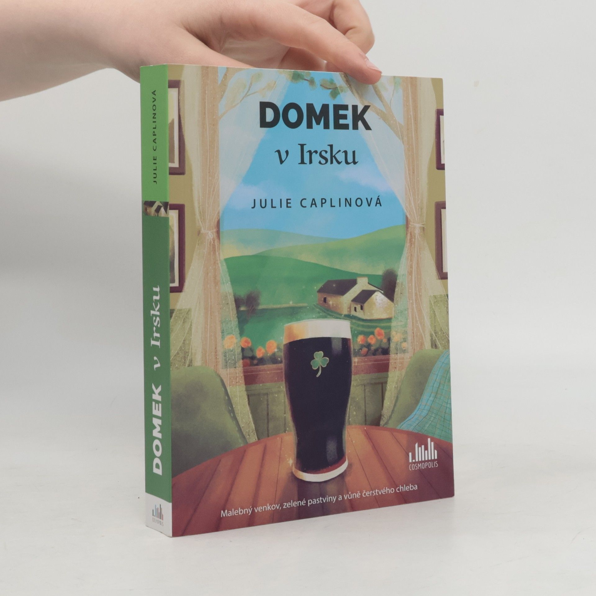 Julie Caplin Domek v Irsku