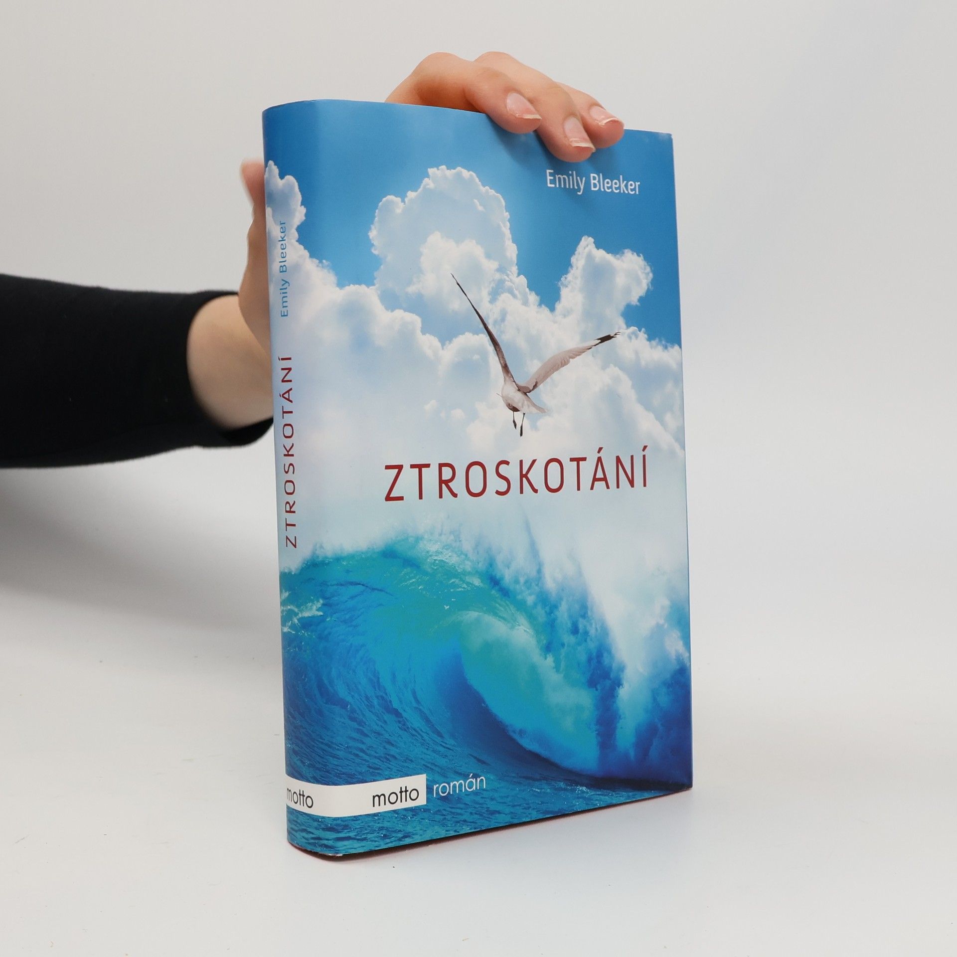 Emily Bleeker Ztroskotání