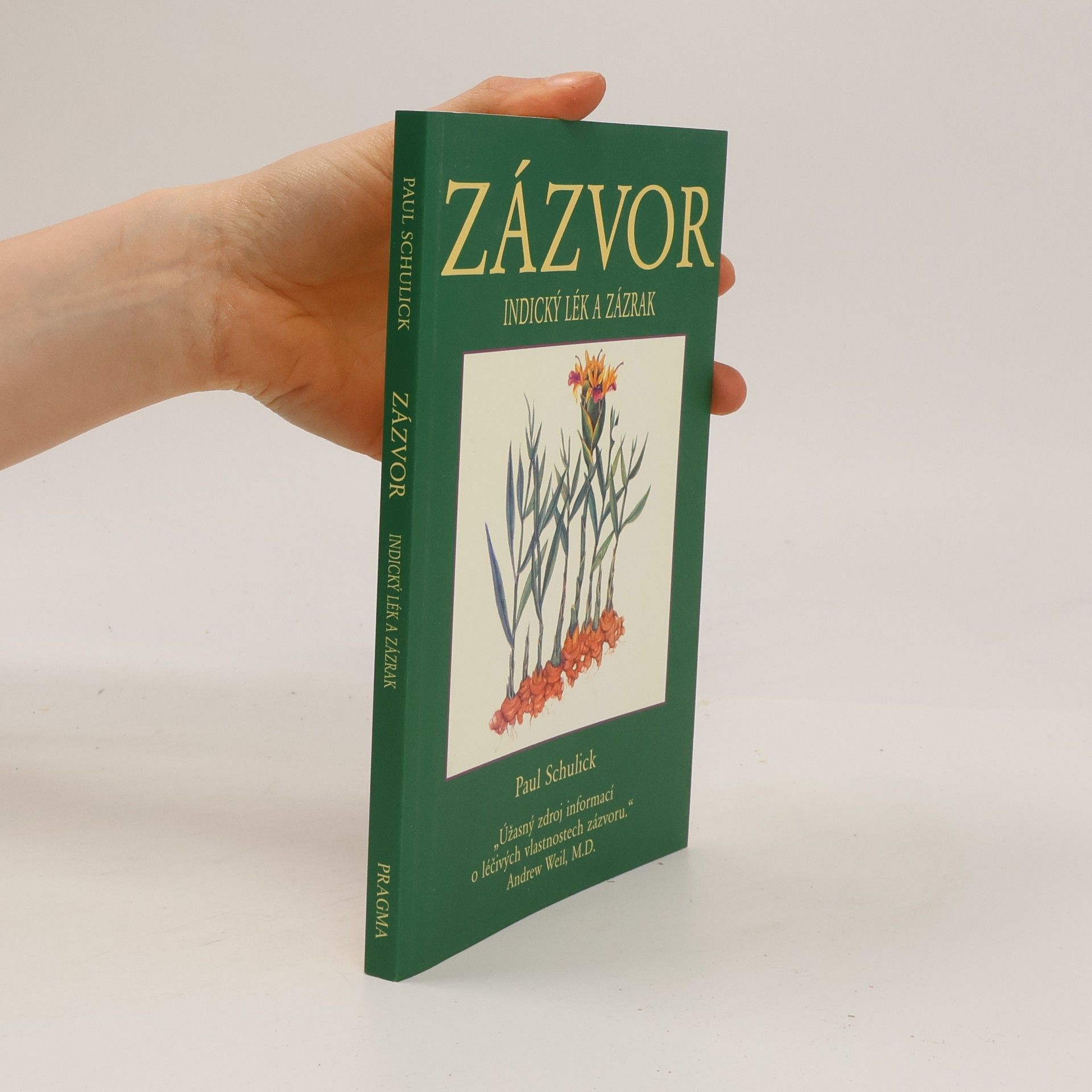 Paul Schulick Zázvor: Indický zázrak a lék