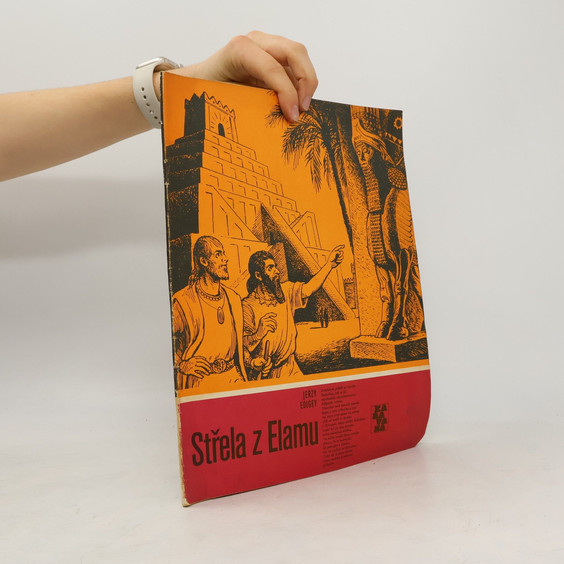 Jerzy Edigey Střela z Elamu