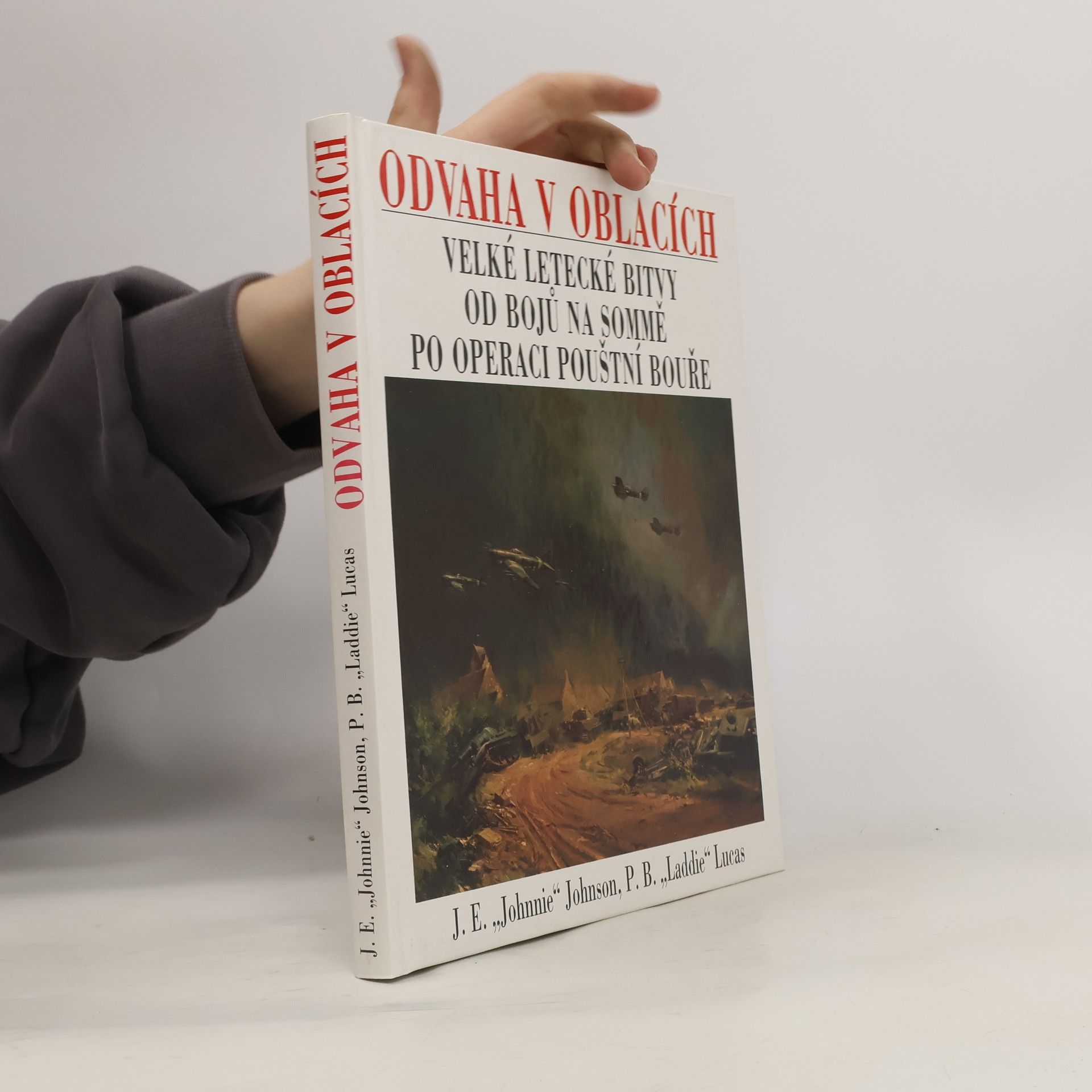 James Edgar Johnson Odvaha v oblacích. Velké letecké bitvy od bojů na Sommě po operaci Pouštní bouře