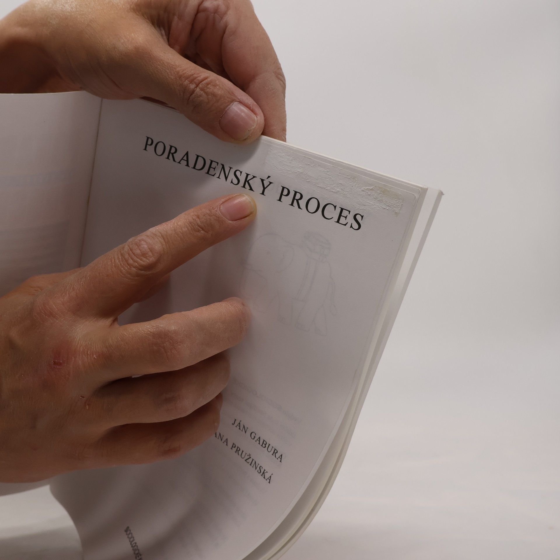 Ján Gabura Poradenský proces