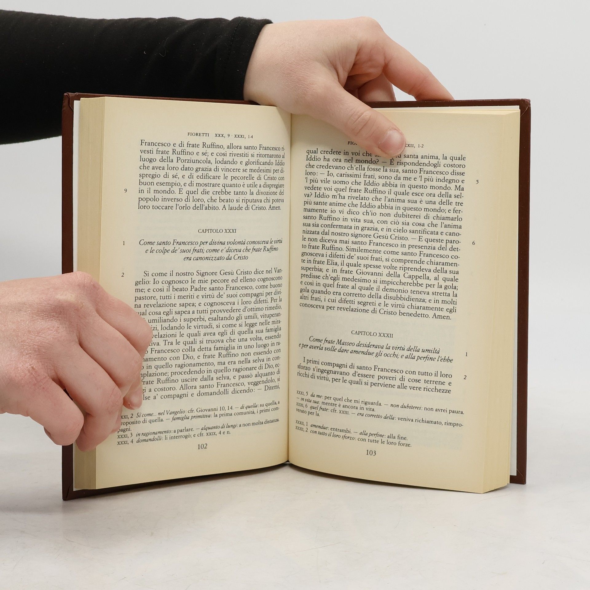 Autorenkollektiv I fioretti di San Francesco