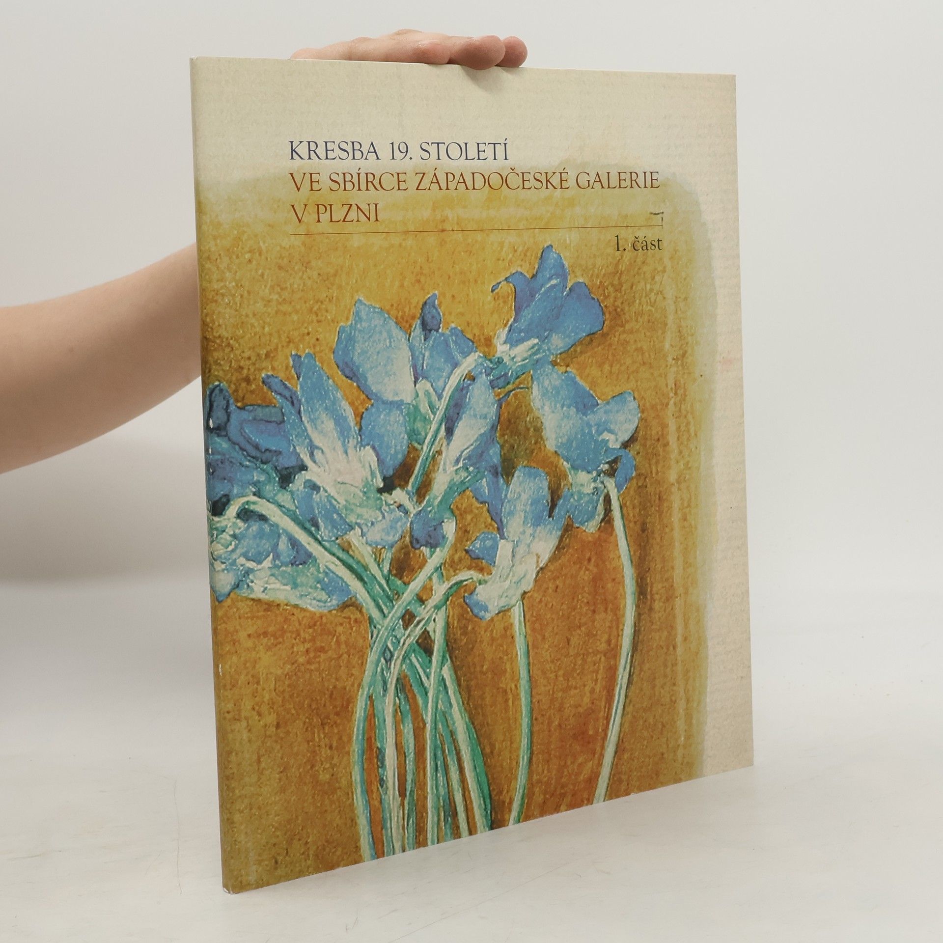 Autorenkollektiv Kresba 19. století. Ve sbírce západočeské galerie v Plzní. 1. část