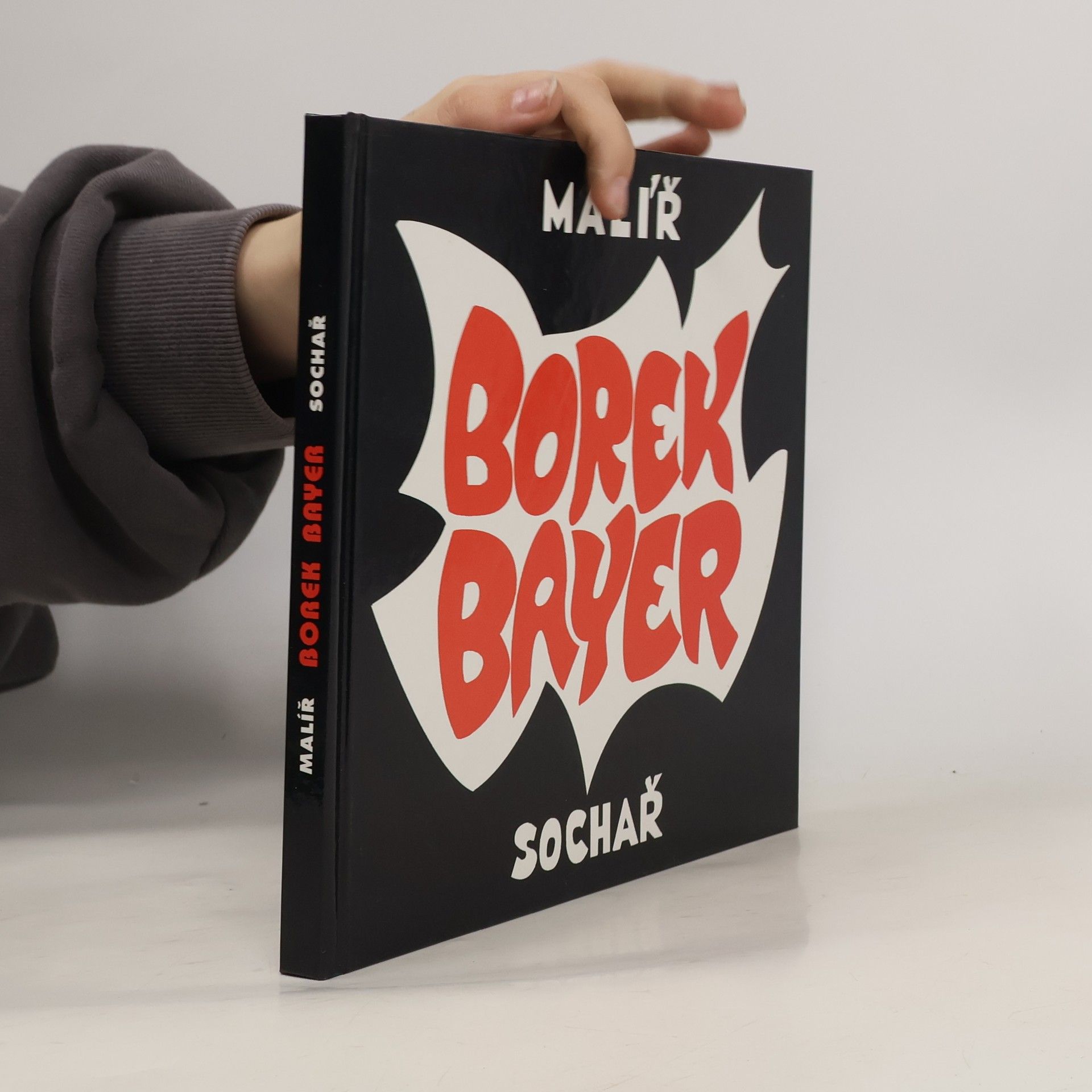 Ctibor Bayer Borek Bayer : malíř, sochař