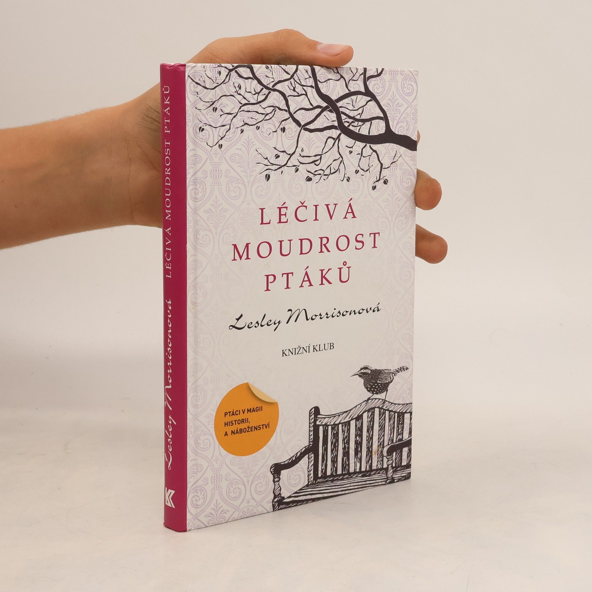 Lesley Morrison Léčivá moudrost ptáků : ptáci v magii, historii a náboženství