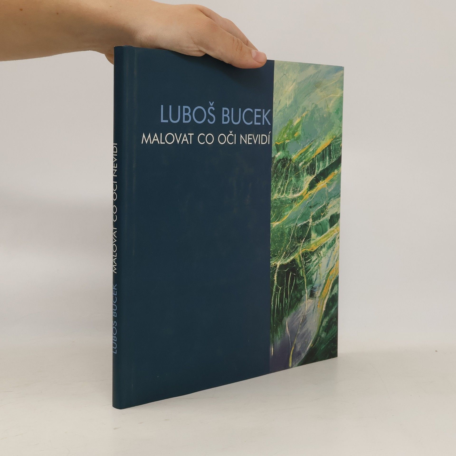 Luboš Bucek Malovat co oči nevidí