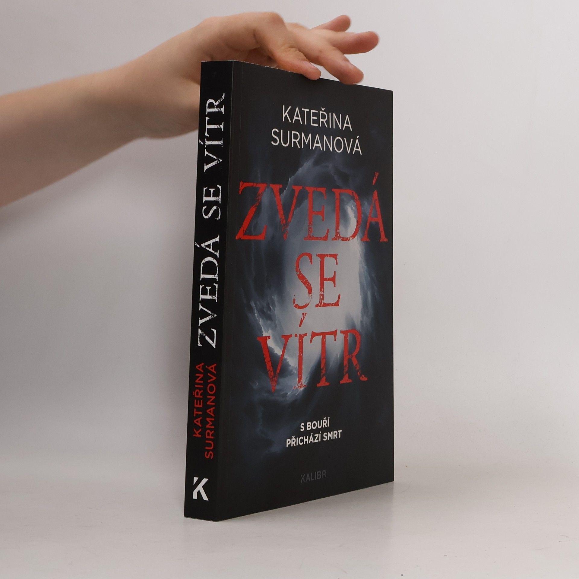 Kateřina Surmanová Zvedá se vítr