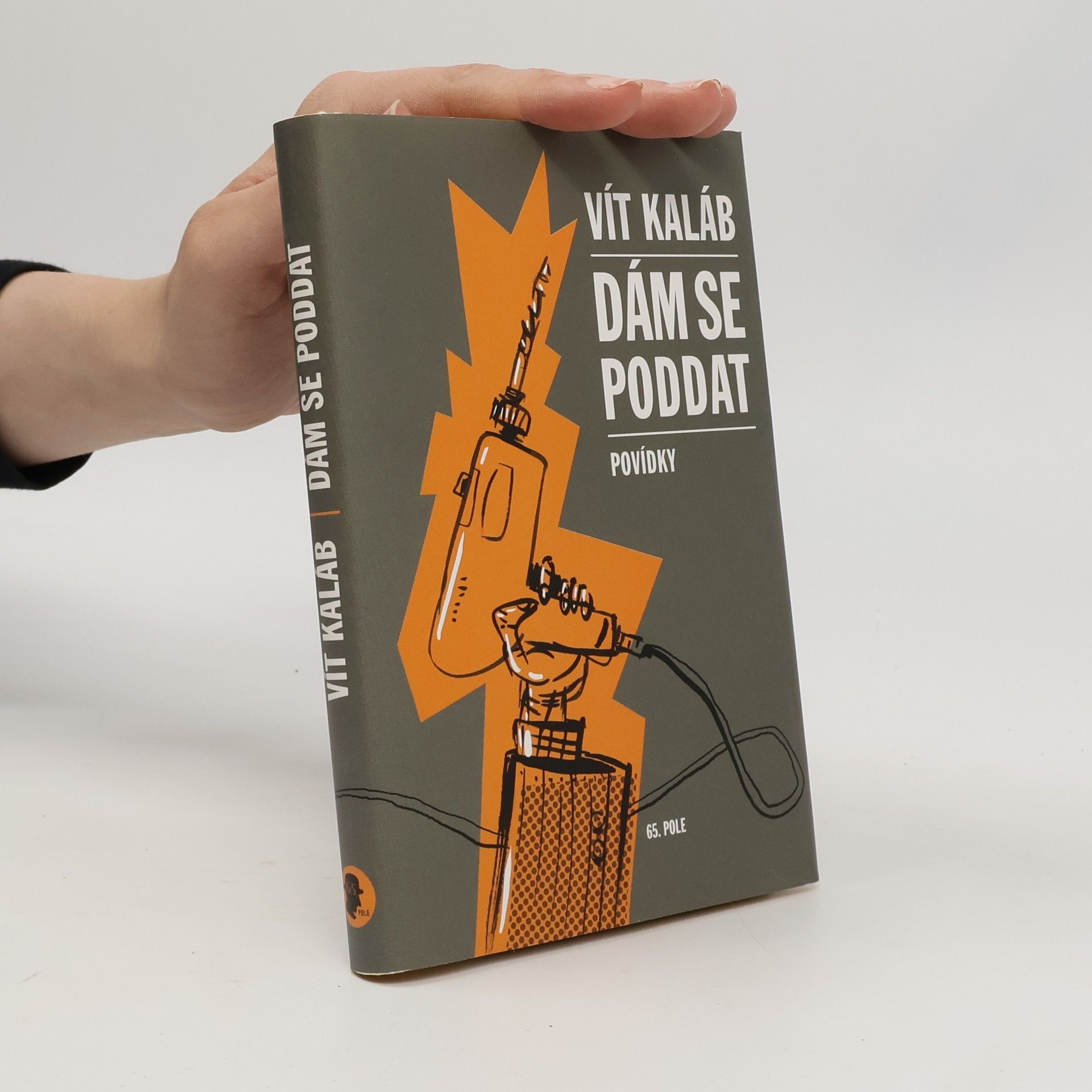 Vít Kaláb Dám se poddat. Povídky