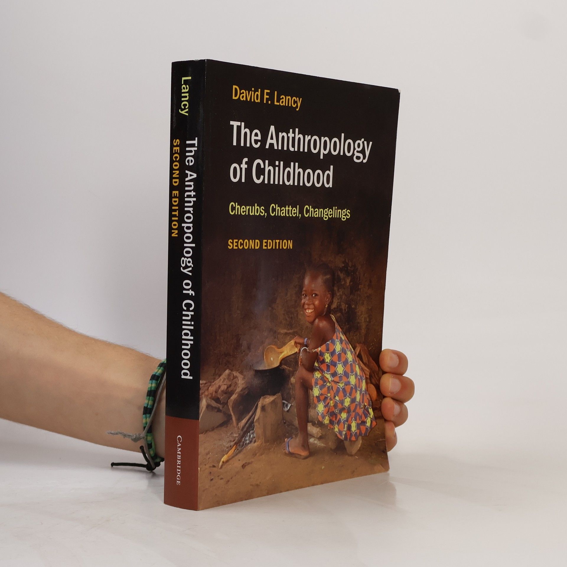 David F Lancy The anthropology of childhood