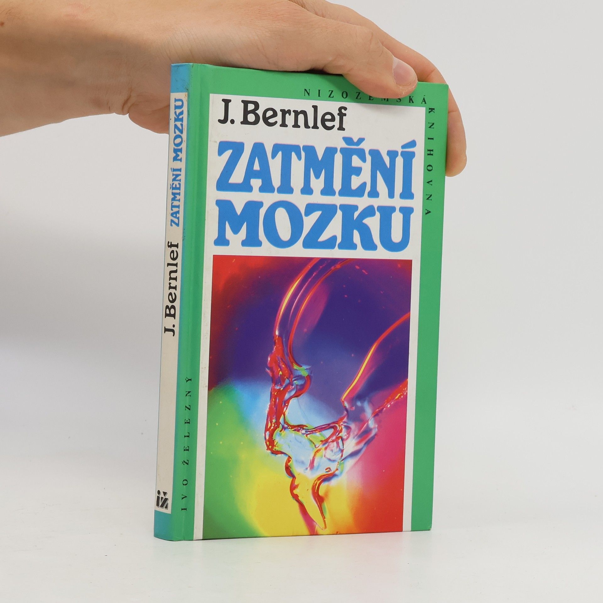 J. Bernlef Zatmění mozku