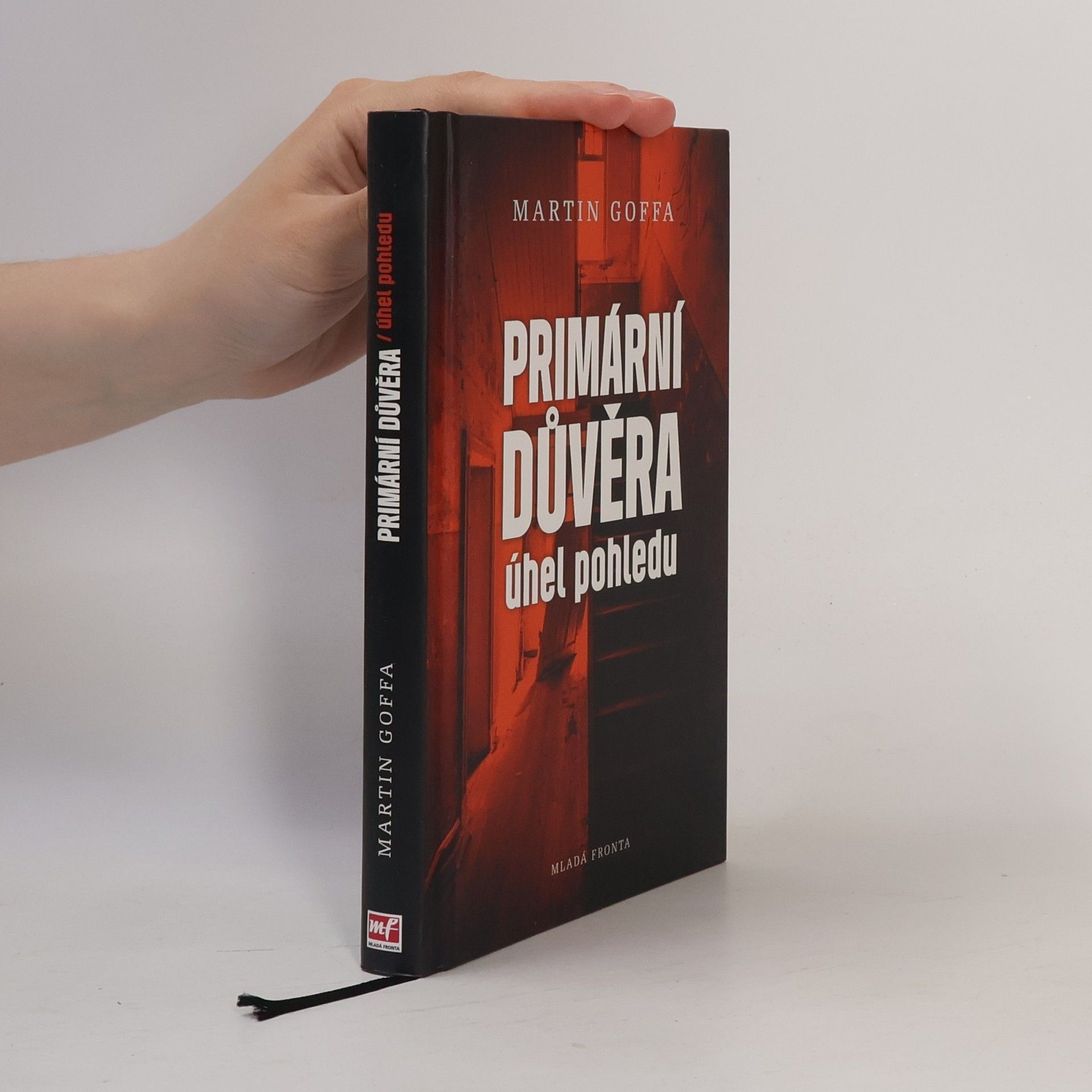 Martin Goffa Primární důvěra - úhel pohledu