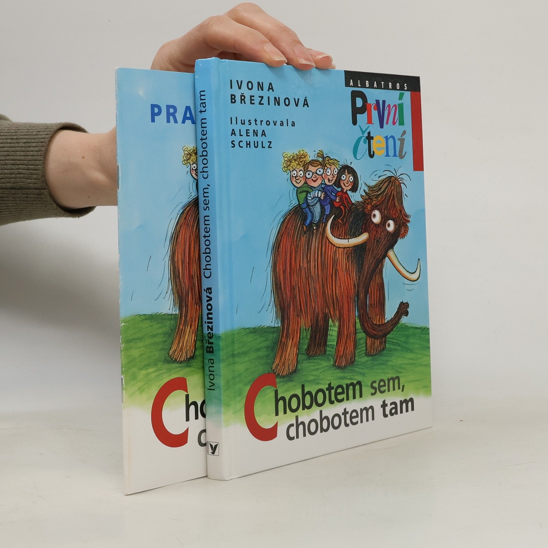 Ivona Březinová Chobotem sem, chobotem tam + pracovní sešit