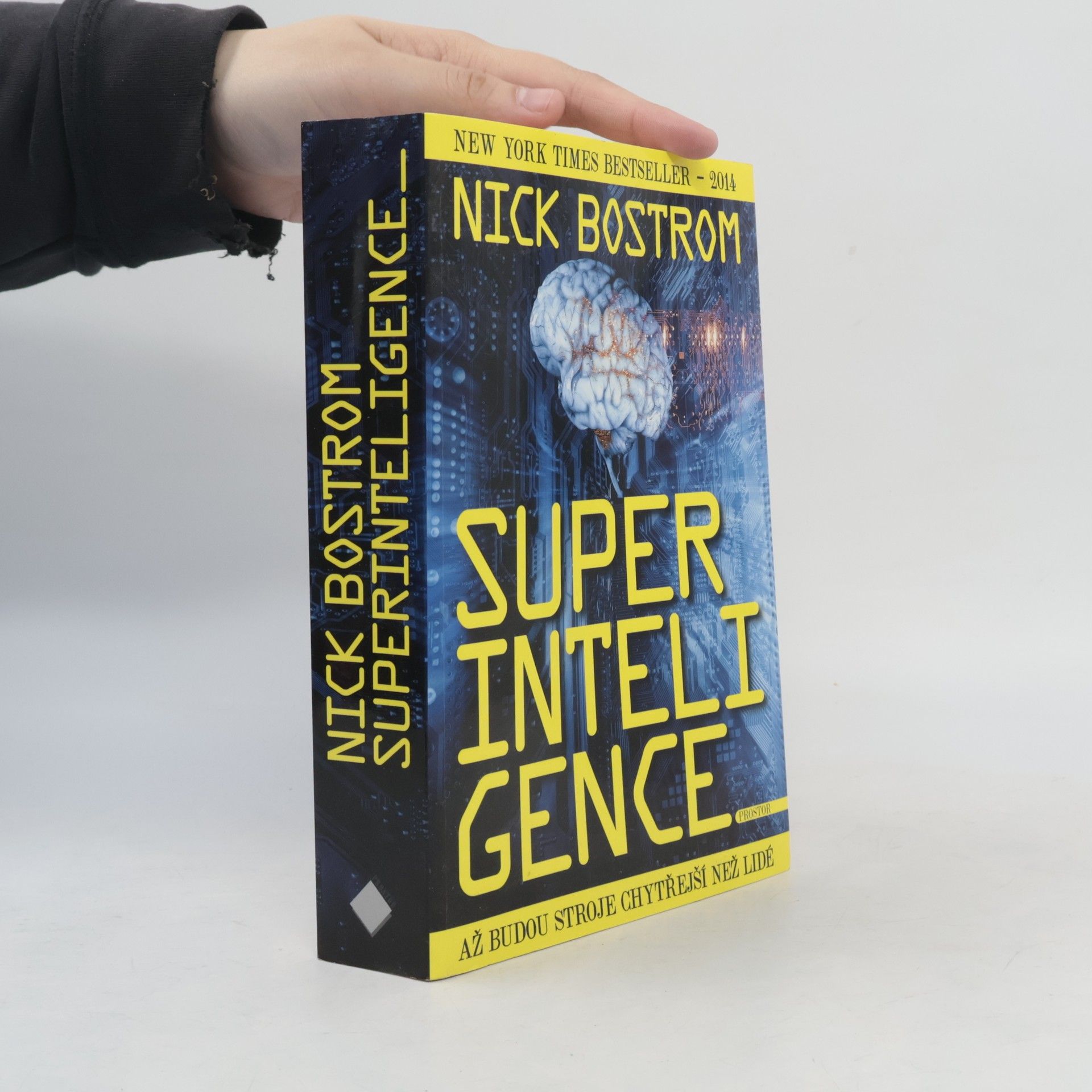Nick Bostrom Superinteligence