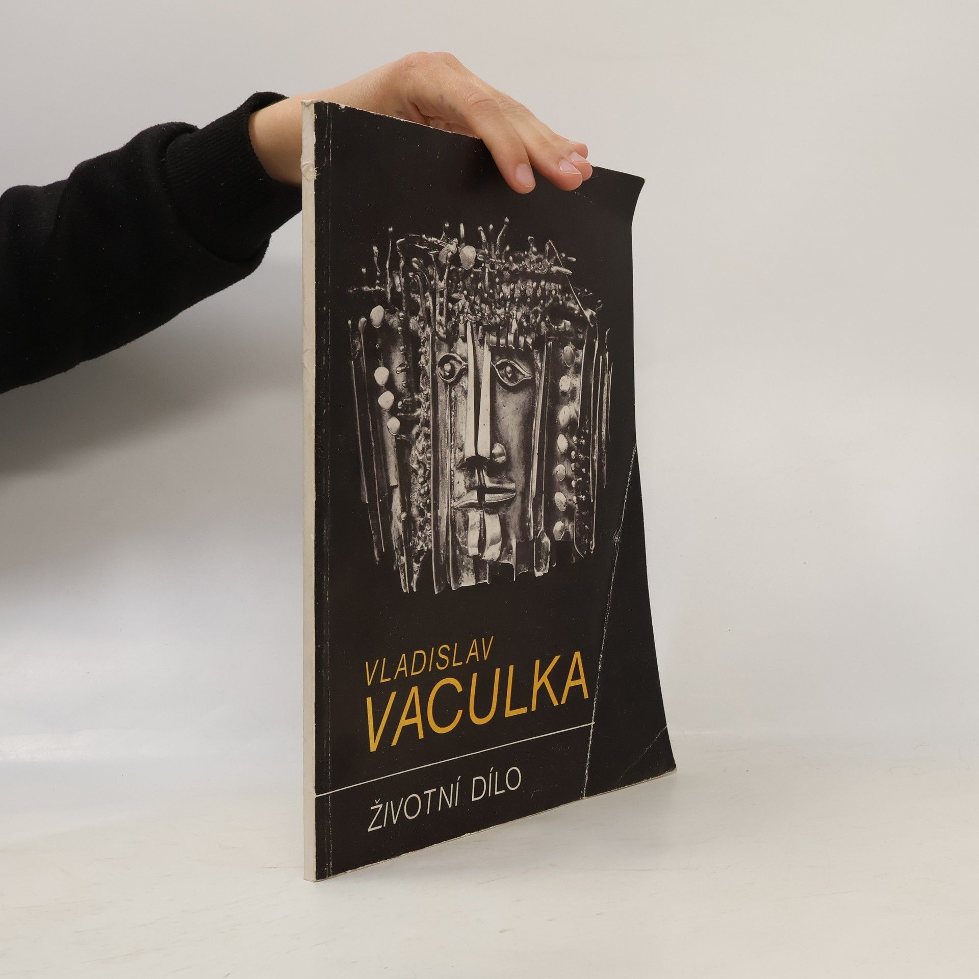 Ludvík Ševeček Vladislav Vaculka