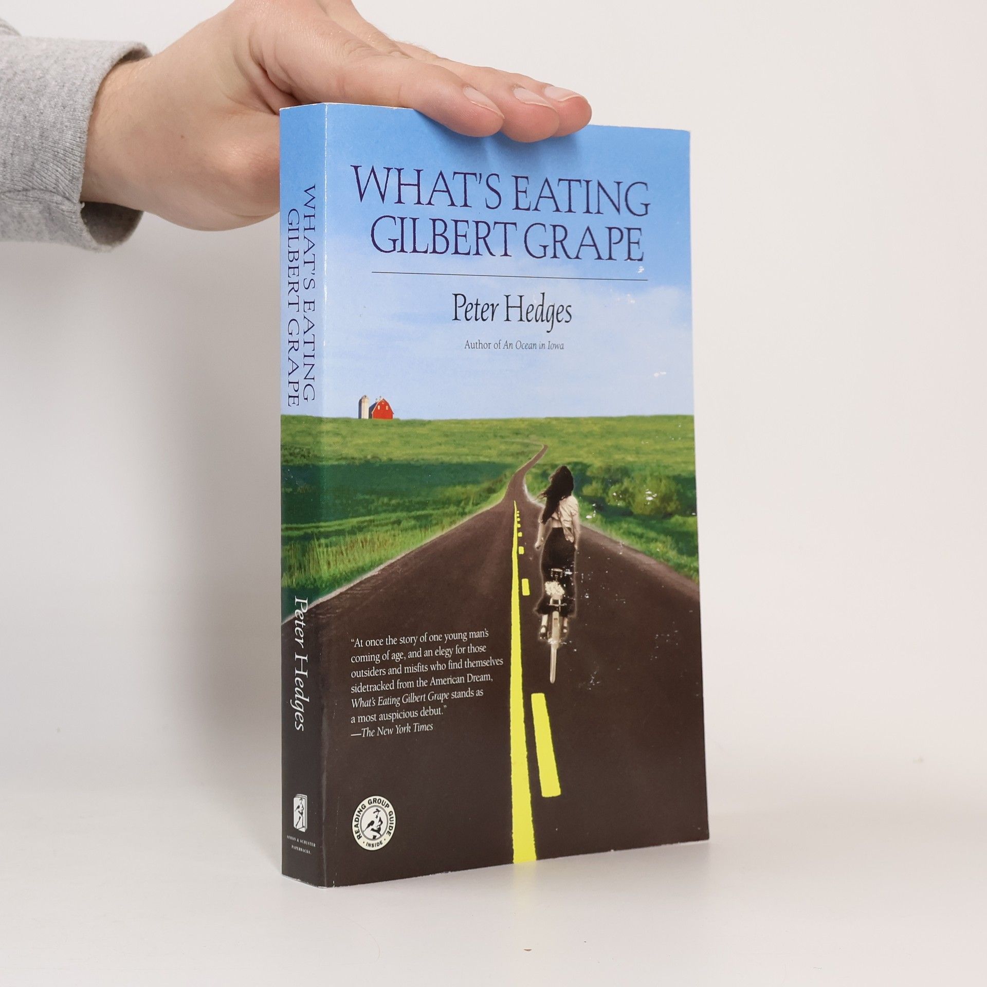 Peter Hedges What's Eating Gilbert Grape?