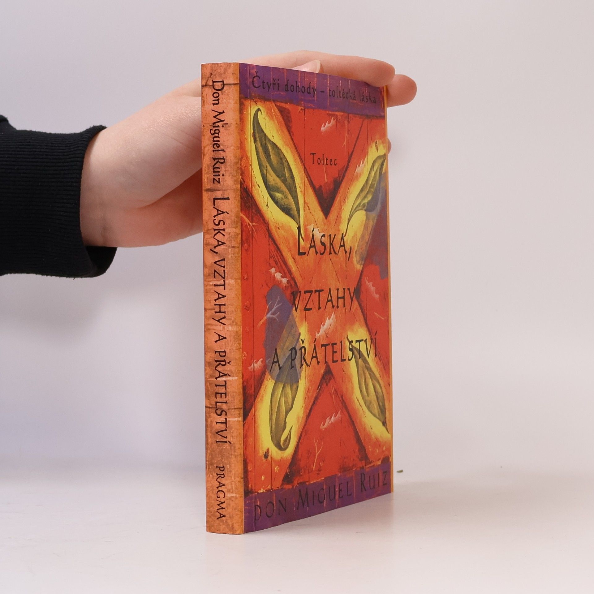 Don Miguel Ruiz Láska, vztahy a přátelství