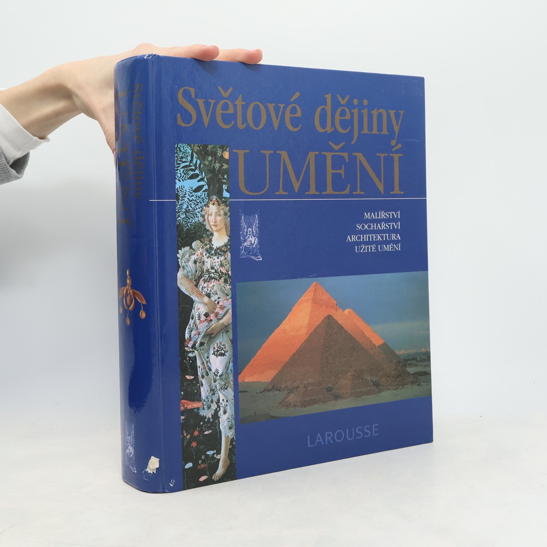 Albert Châtelet Světové dějiny umění : malířství, sochařství, architektura, užité umění