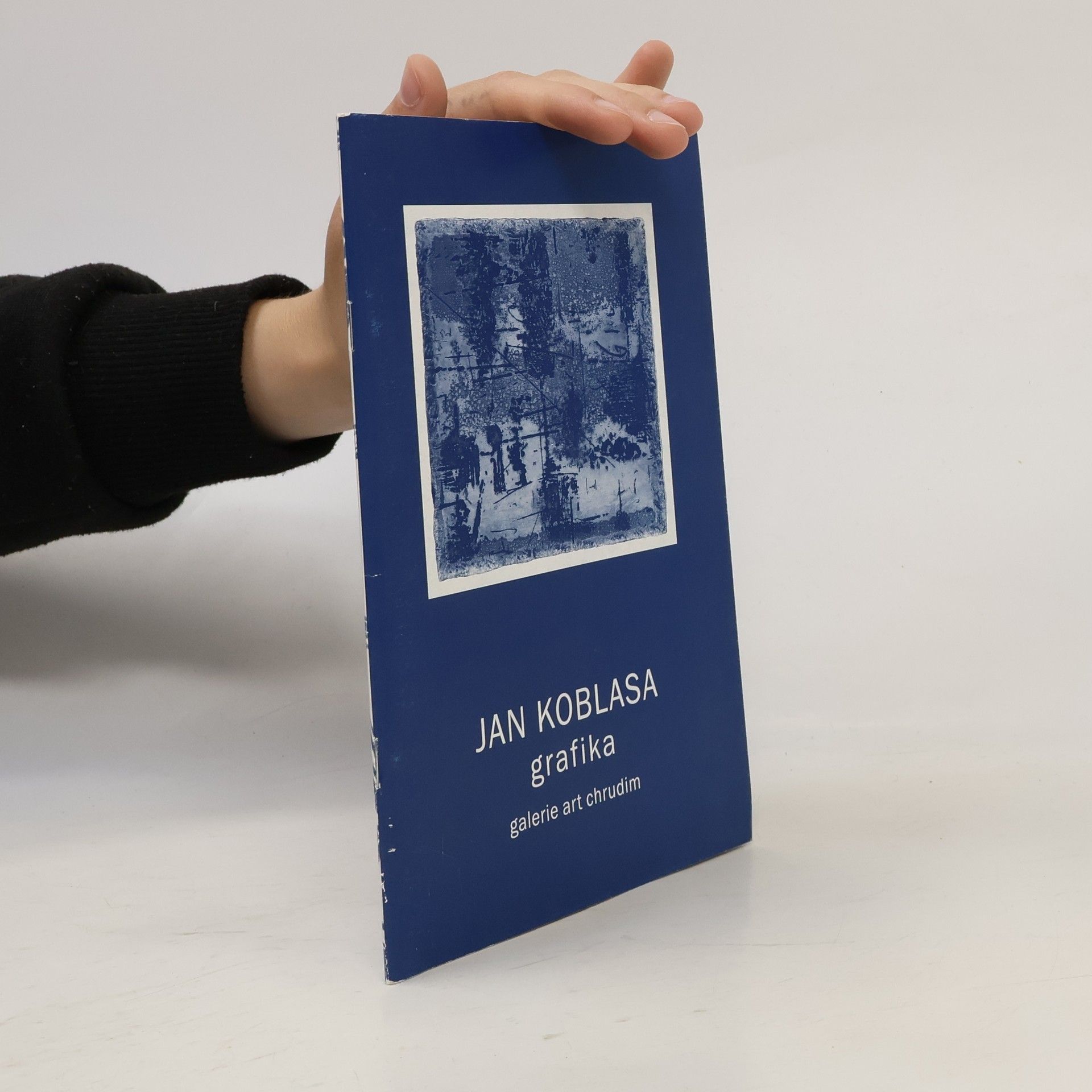 Autorenkollektiv Jan Koblasa. Grafika