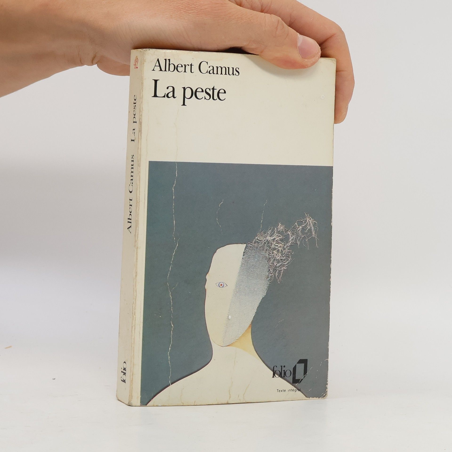 Albert Camus La peste