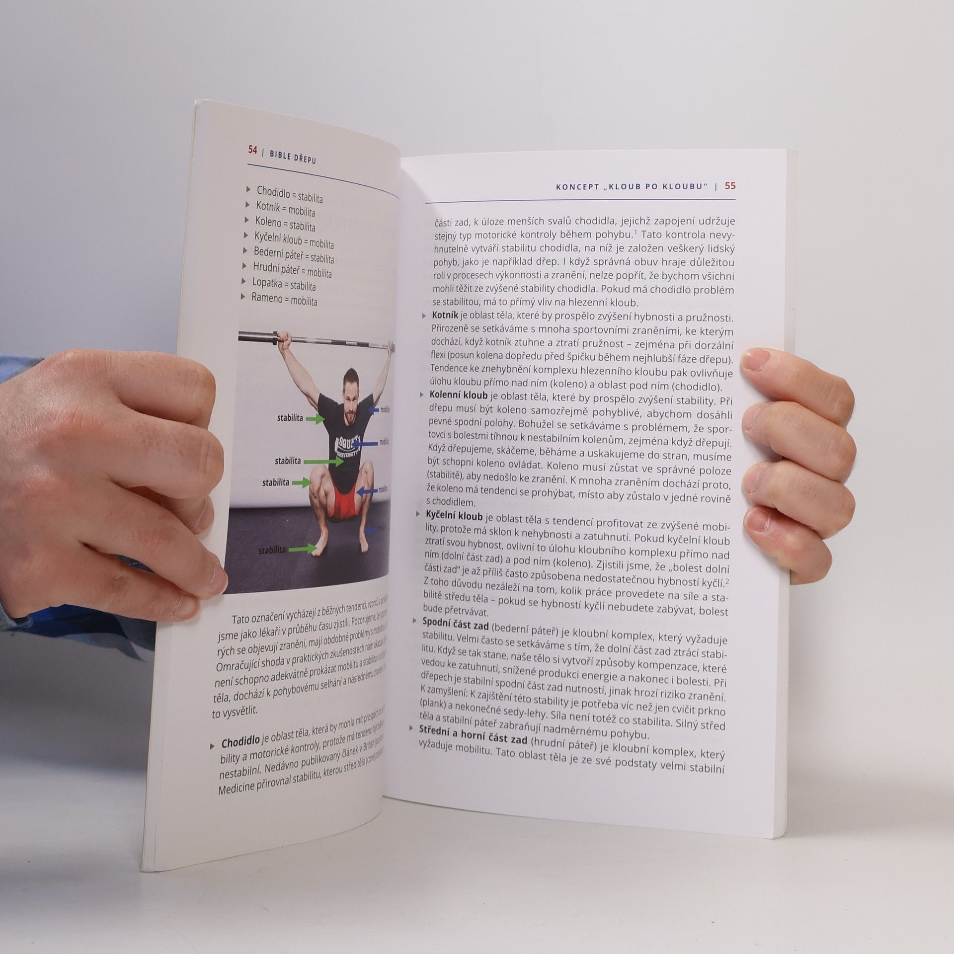 Kolektiv autorů Bible dřepu : průvodce zvládnutím techniky dřepu a přirozeného pohybu