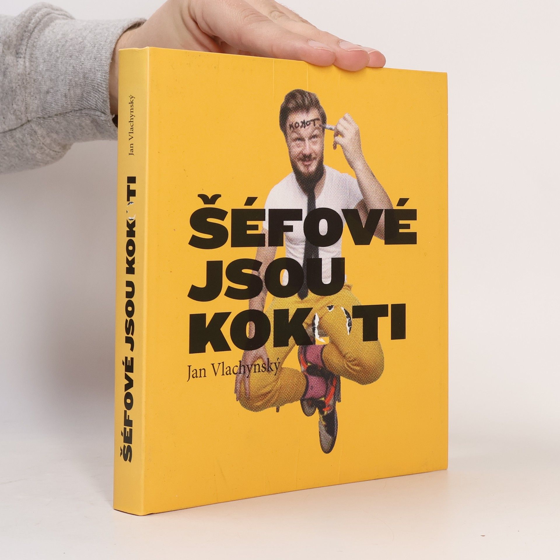 Jan Vlachynský Šéfové jsou kokoti