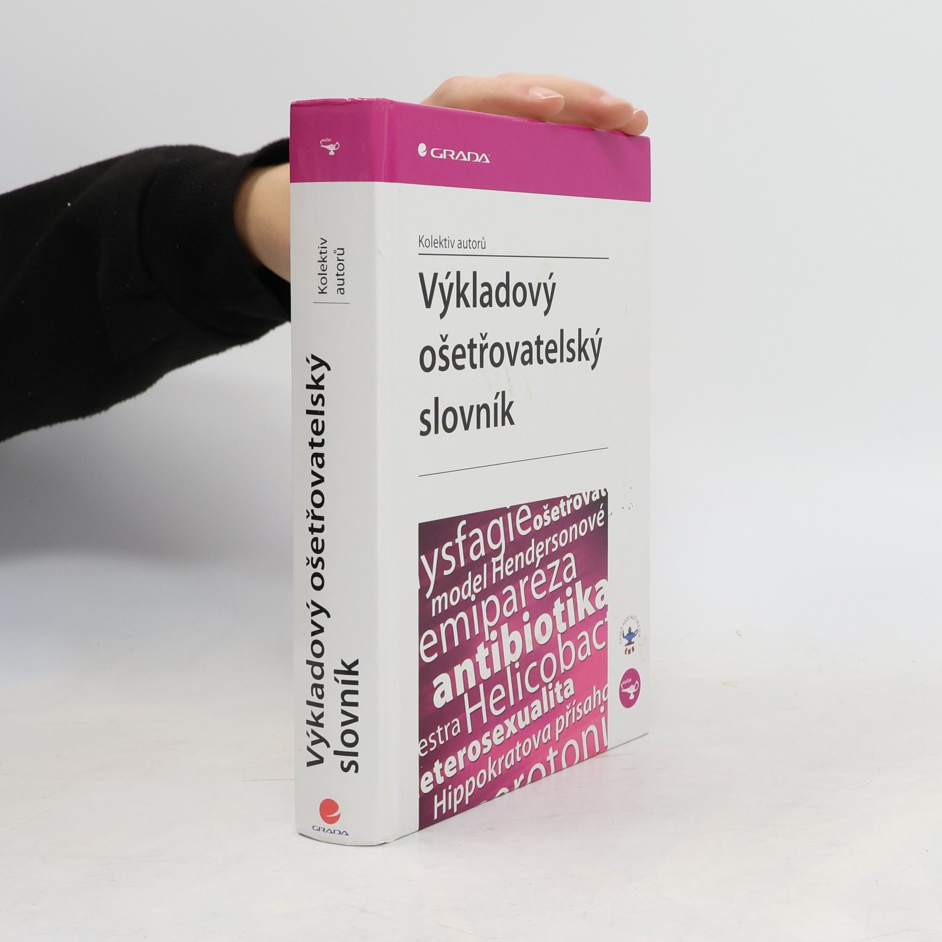 Collectif d'auteurs Výkladový ošetřovatelský slovník