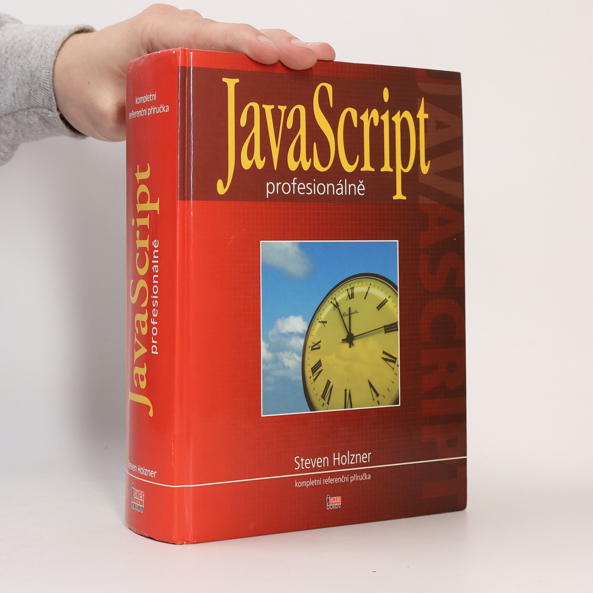 Steven Holzner JavaScript profesionálně