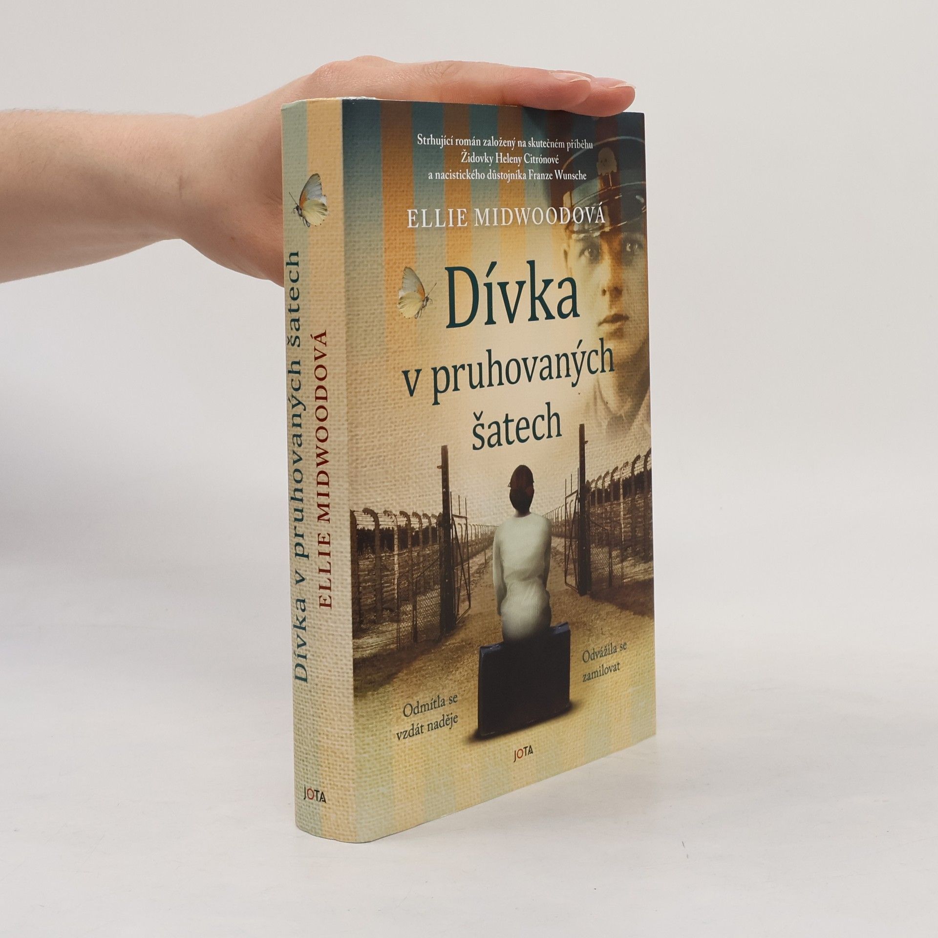 Ellie Midwood Dívka v pruhovaných šatech
