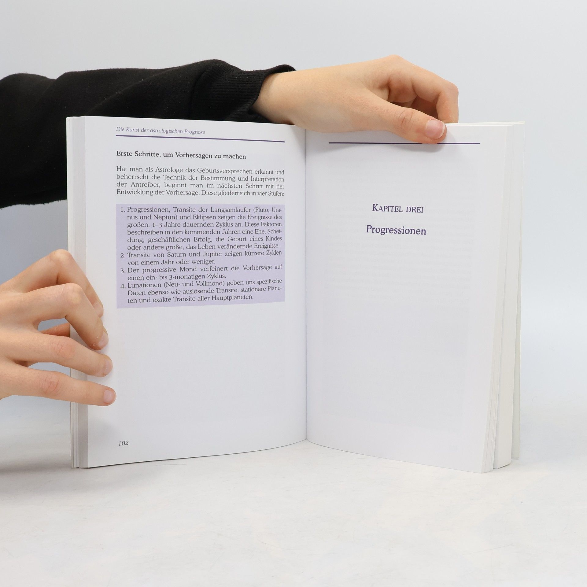 Carol Rushman Die Kunst der astrologischen Prognose