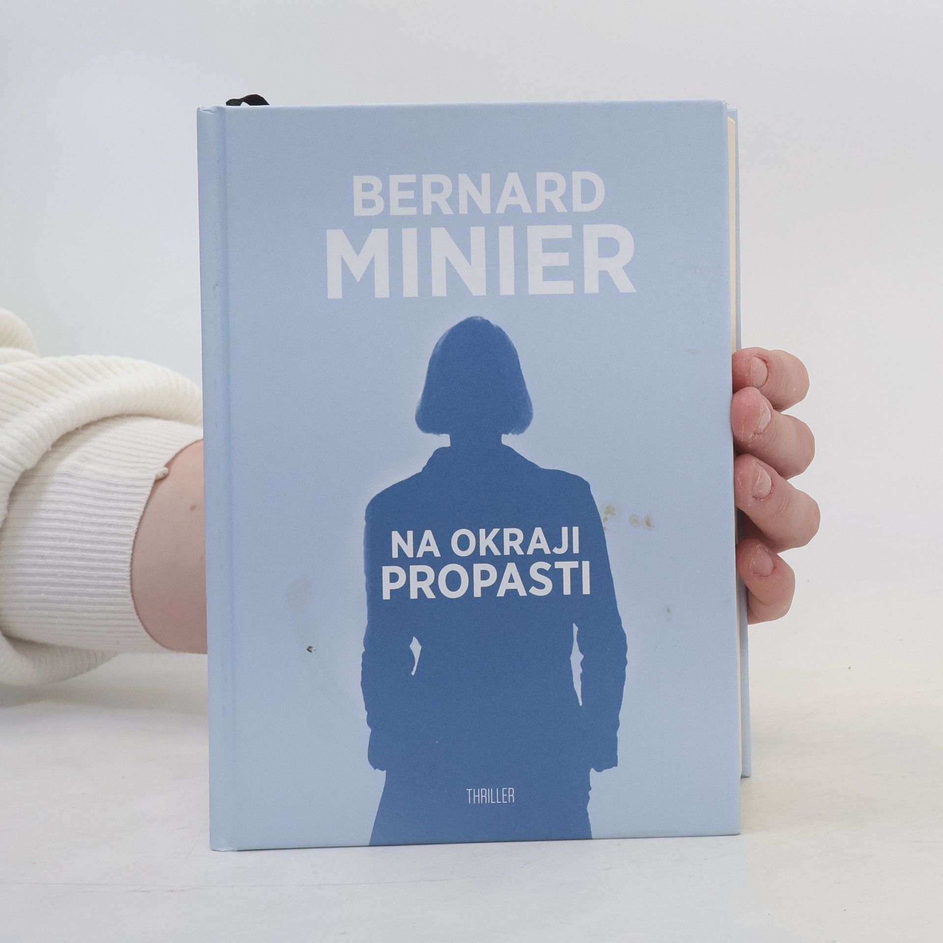 Bernard Minier Na okraji propasti
