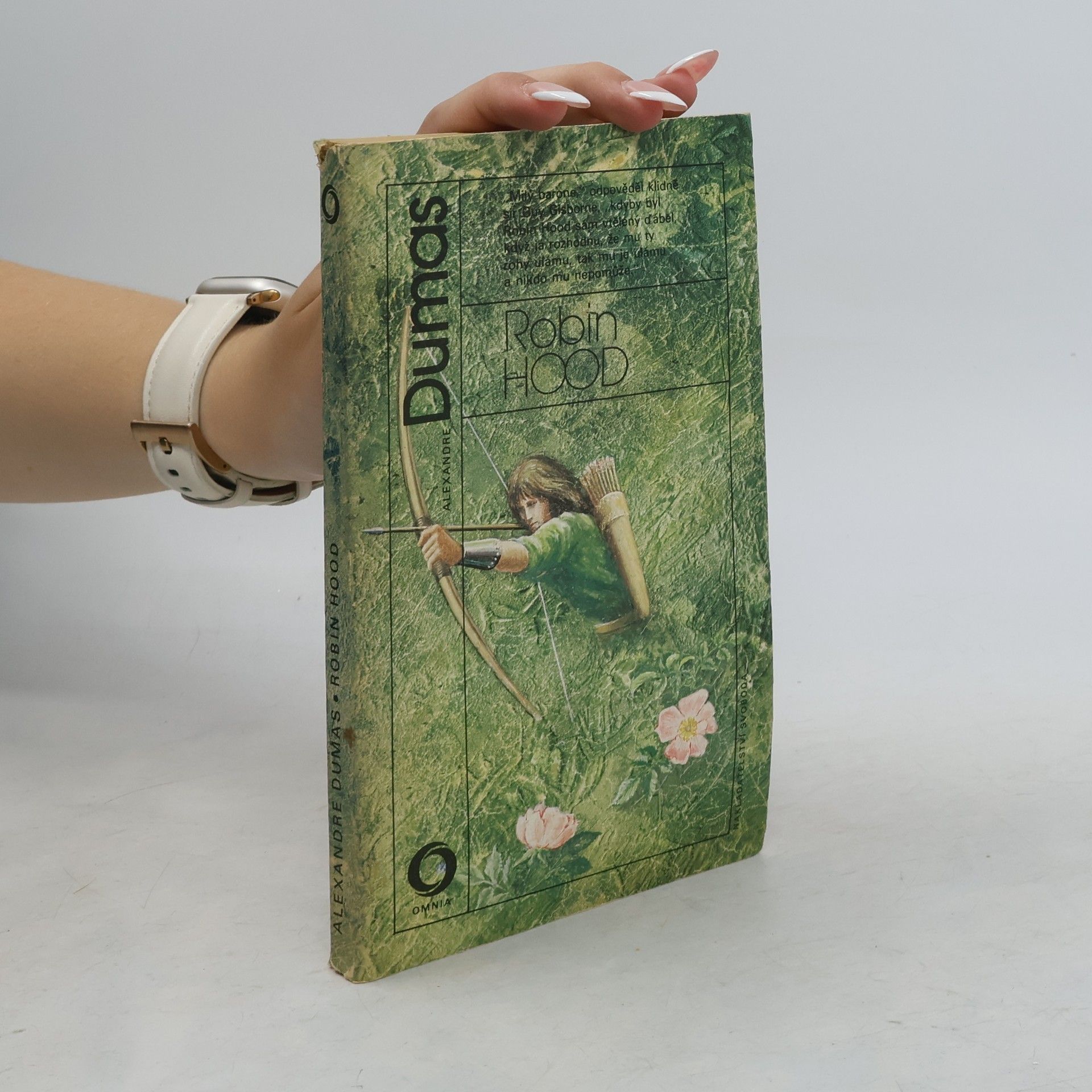 Alexandre Dumas starší Robin Hood