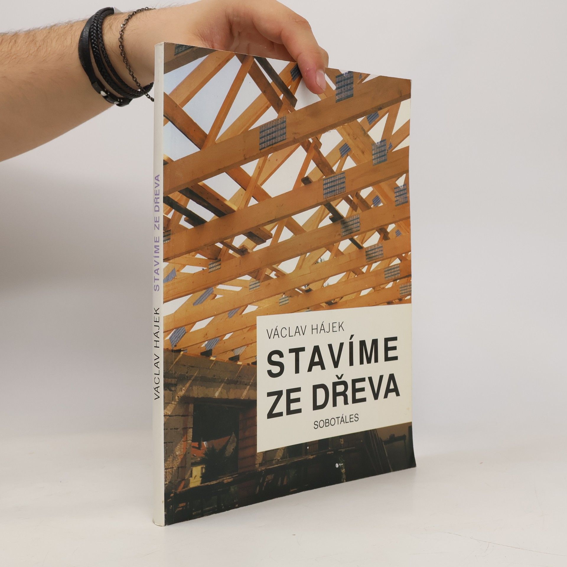 Václav Hájek Stavíme ze dřeva