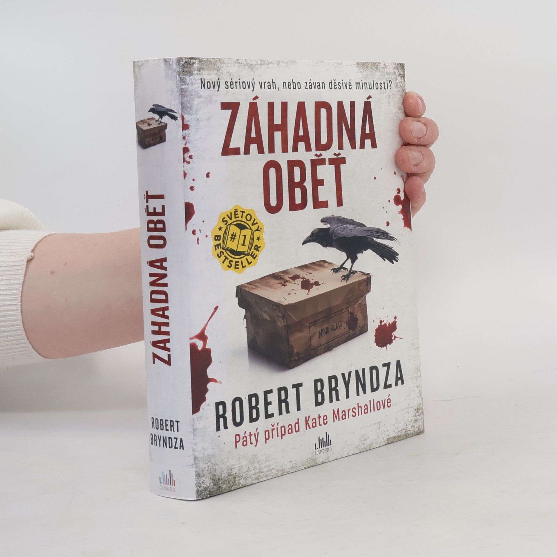 Robert Bryndza Záhadná oběť