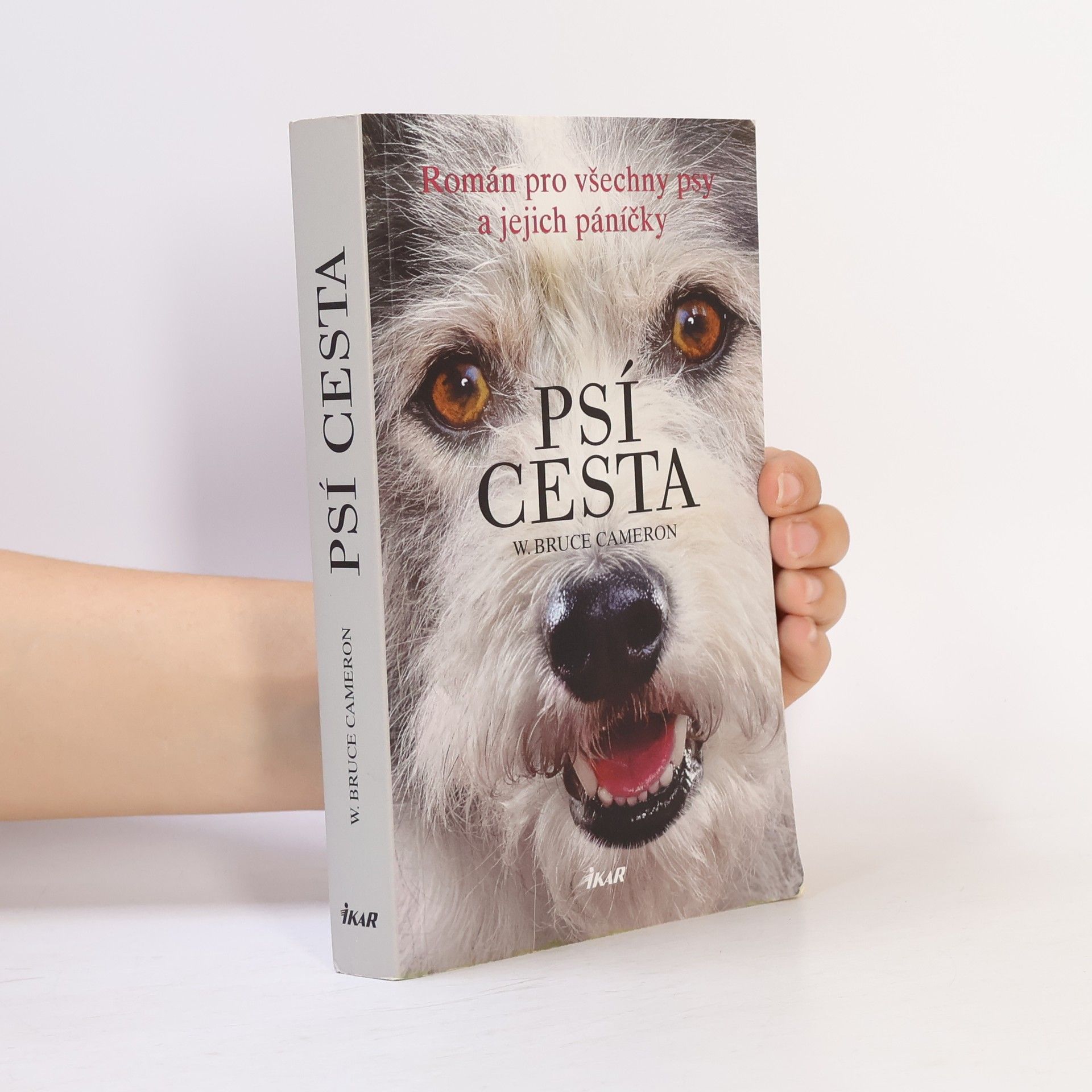 W. Bruce Cameron Psí cesta