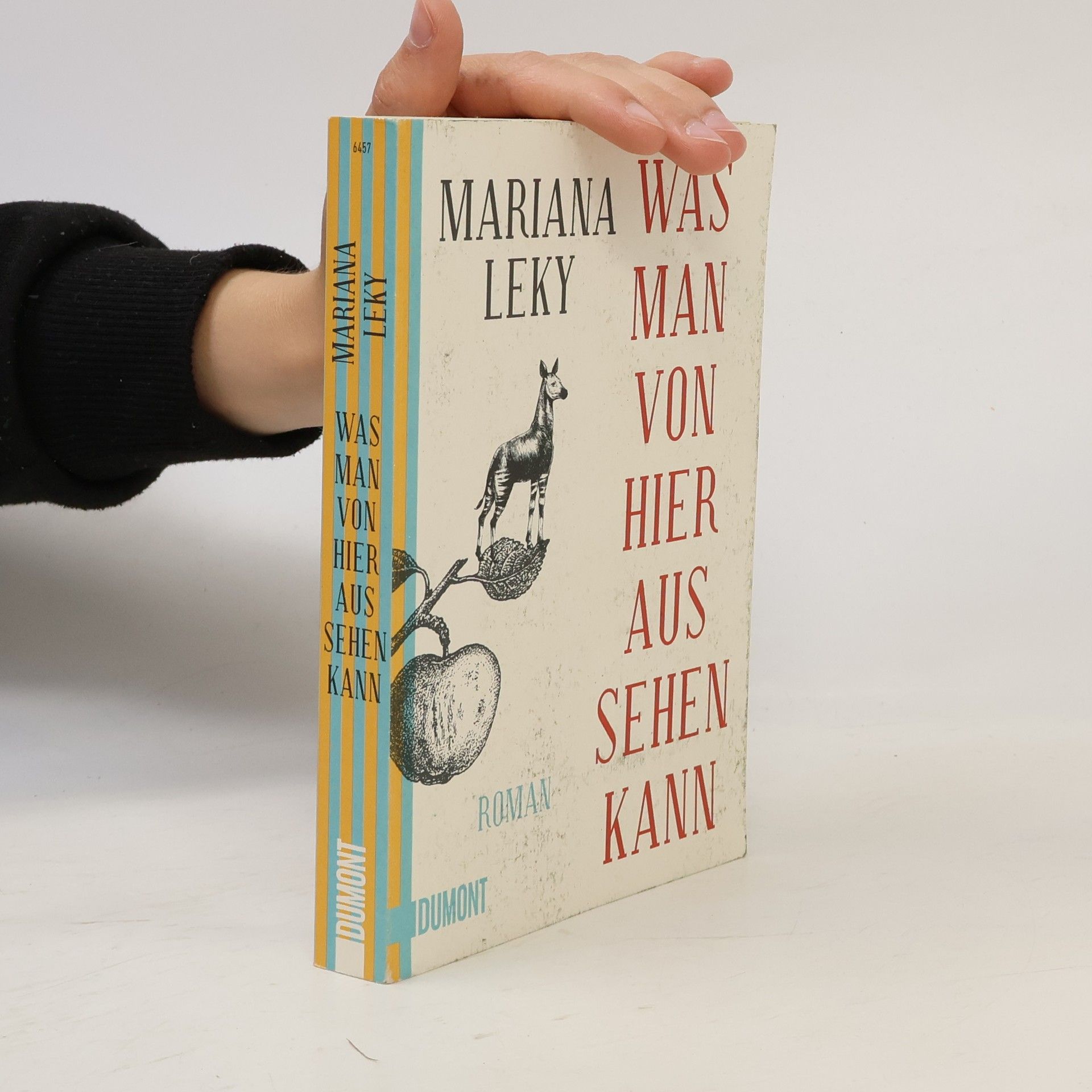 Mariana Leky Was man von hier aus sehen kann