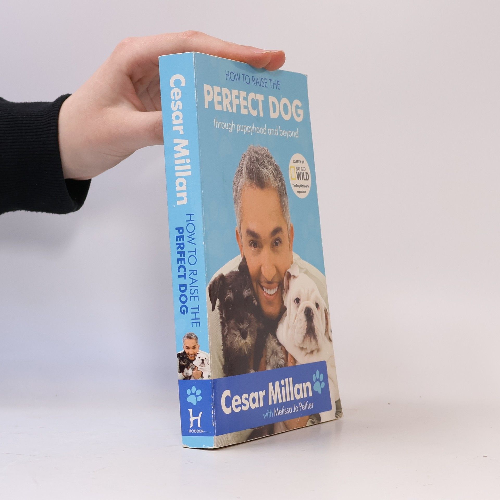 Cesar Millan How to Raise the Perfect Dog