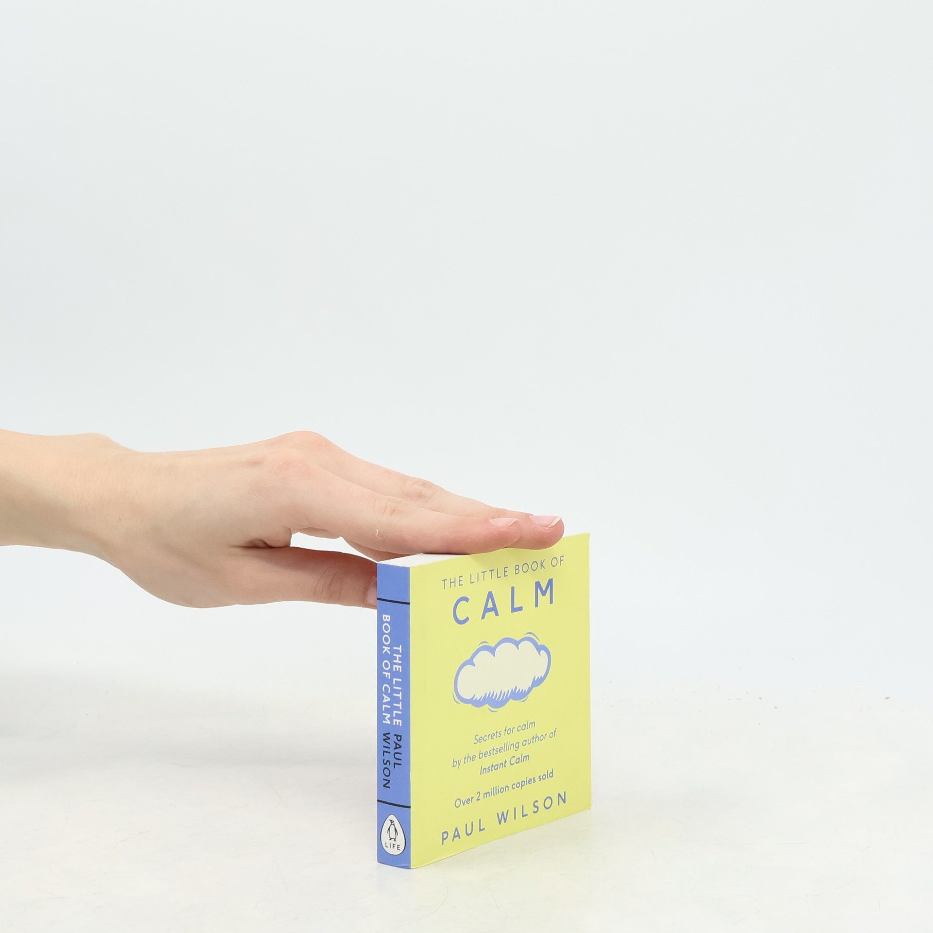 Paul Wilson The Little Book of Calm